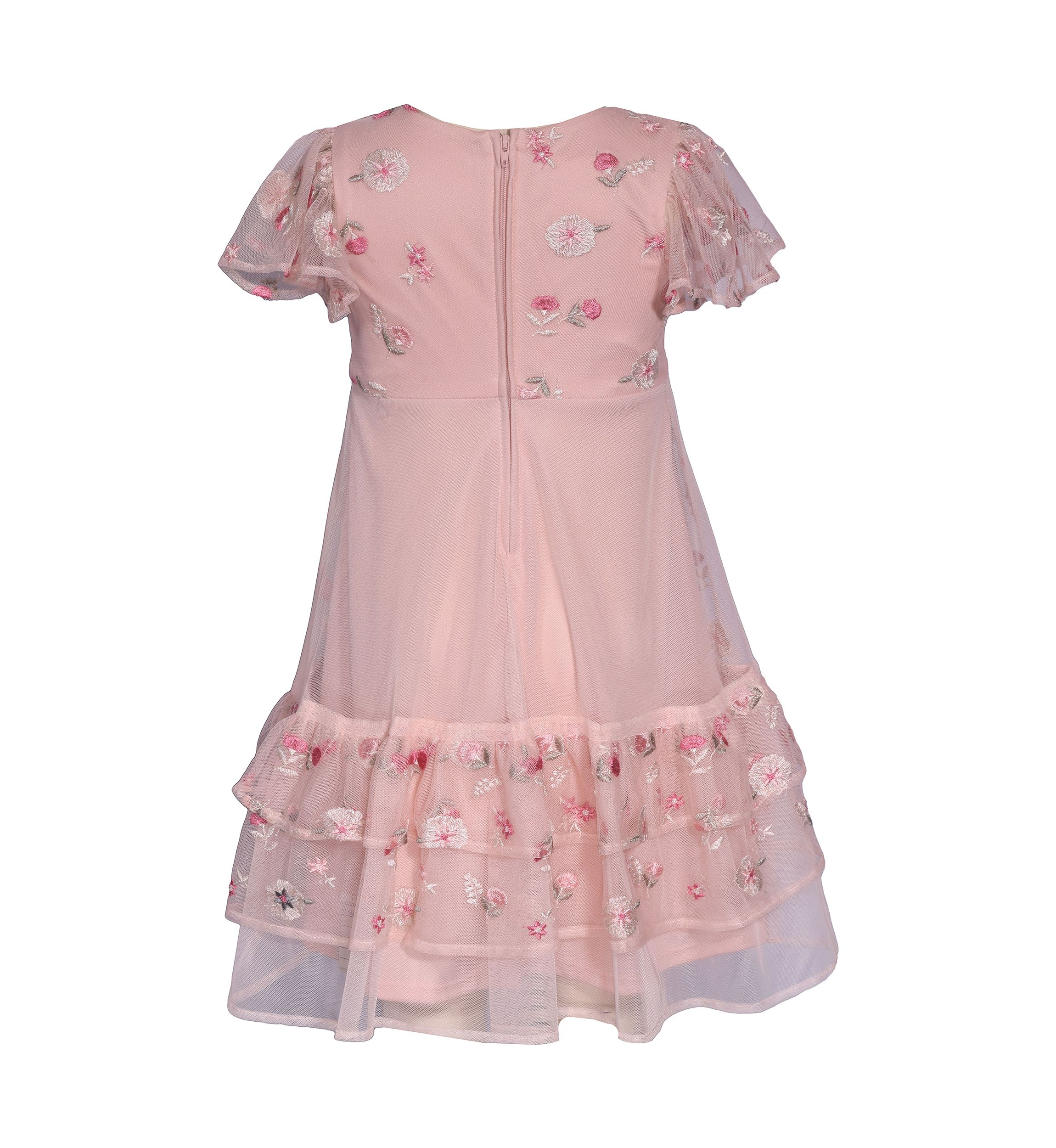 Toddler Girls Embroidered Mesh Ruffle Dress
