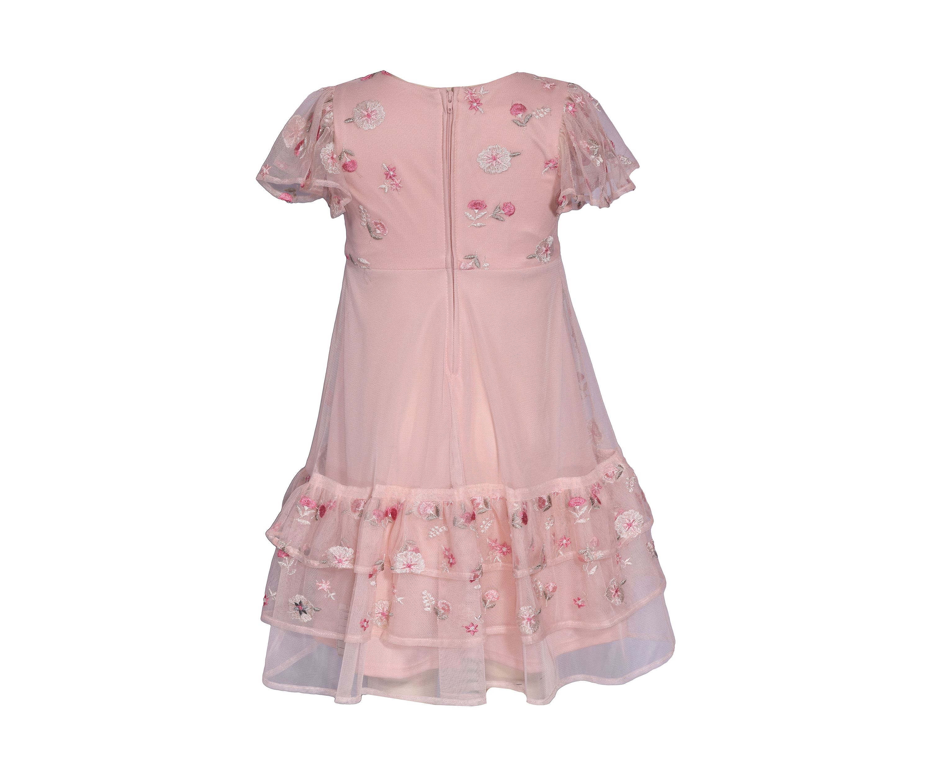Toddler Girls Embroidered Mesh Ruffle Dress