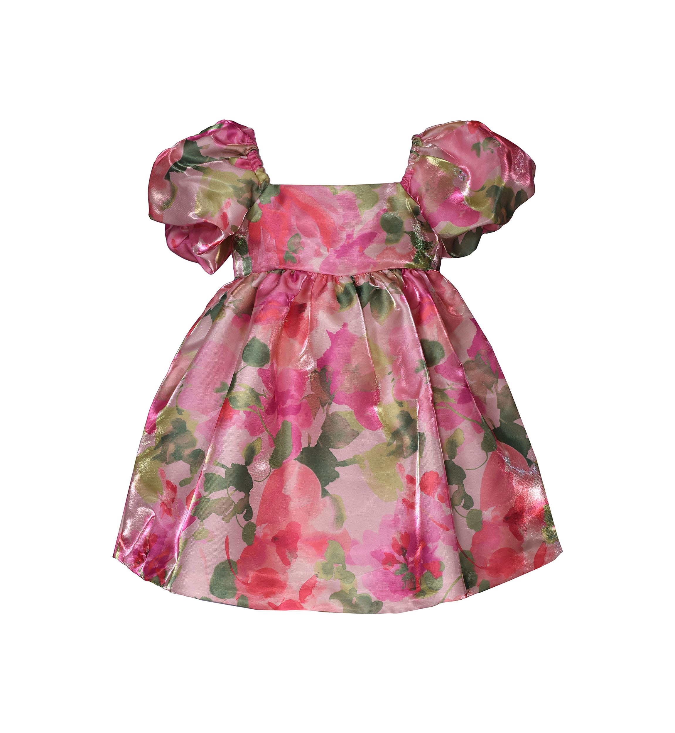 Toddler Girls Floral Printed Party Dress