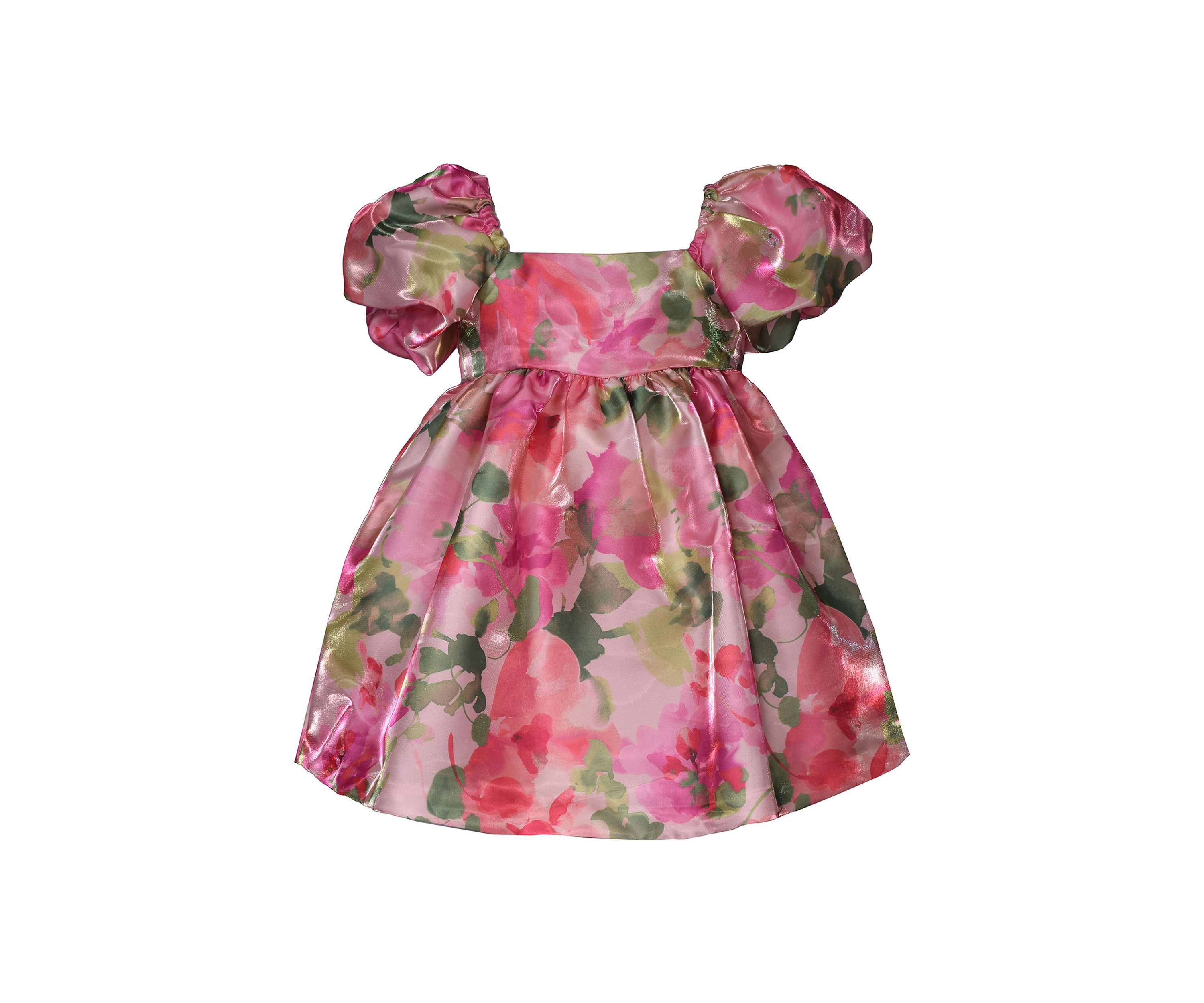Toddler Girls Floral Printed Party Dress