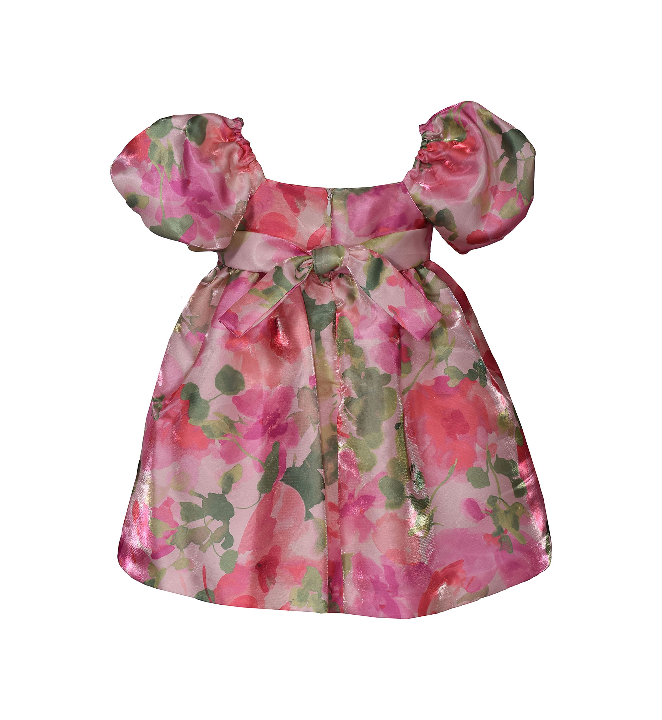 Toddler Girls Floral Printed Party Dress