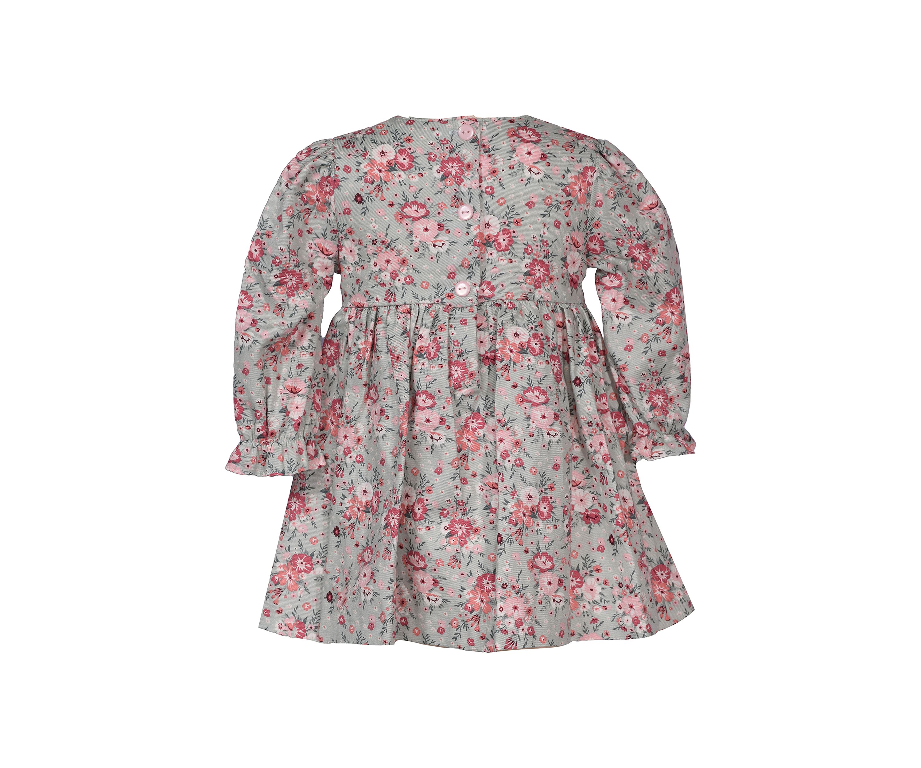 Toddler Girls Printed Smocked Dress