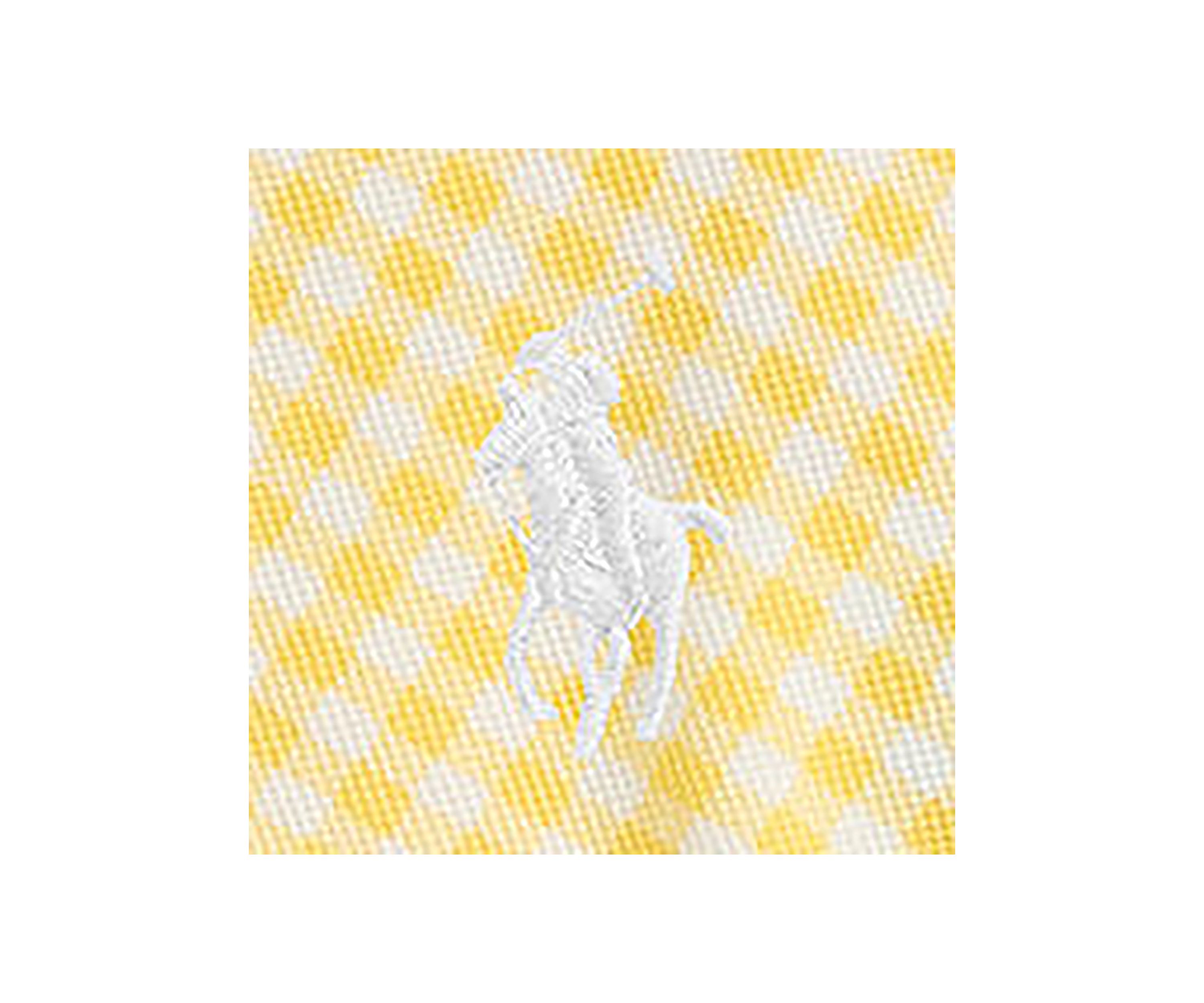 Baby Girls Gingham Mesh Polo Shirt & Shorts Set