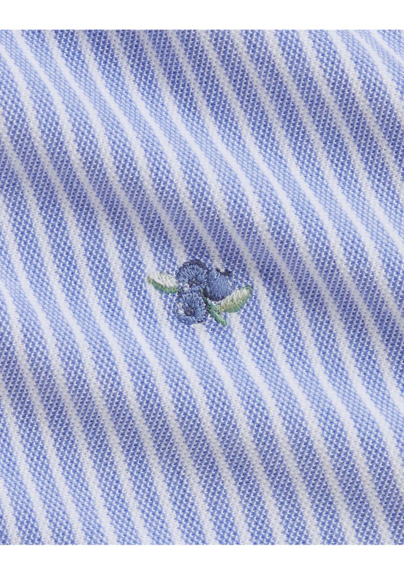 Baby Girls Blueberry Cotton Mesh Dress and Bloomer