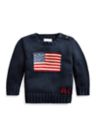 Baby Boys The Iconic Flag Sweater