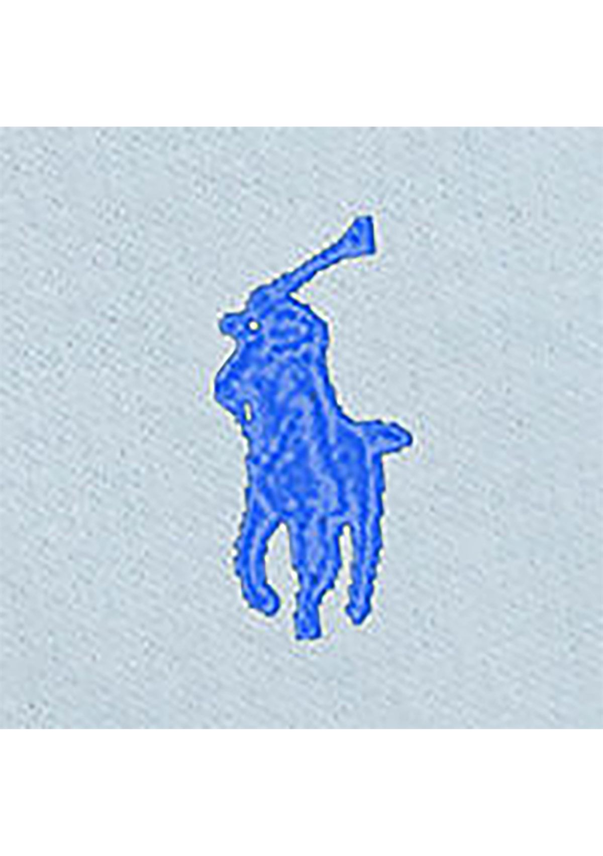 Baby Boys Polo Pony Fleece Hoodie & Pants Set