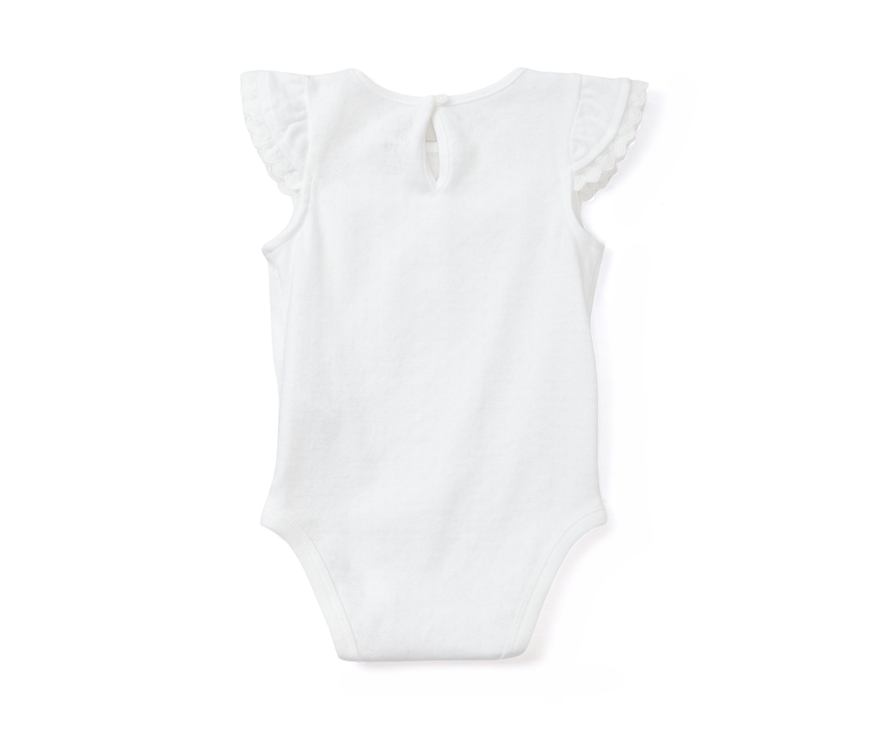 Baby Girls Pointelle Knit Bodysuit