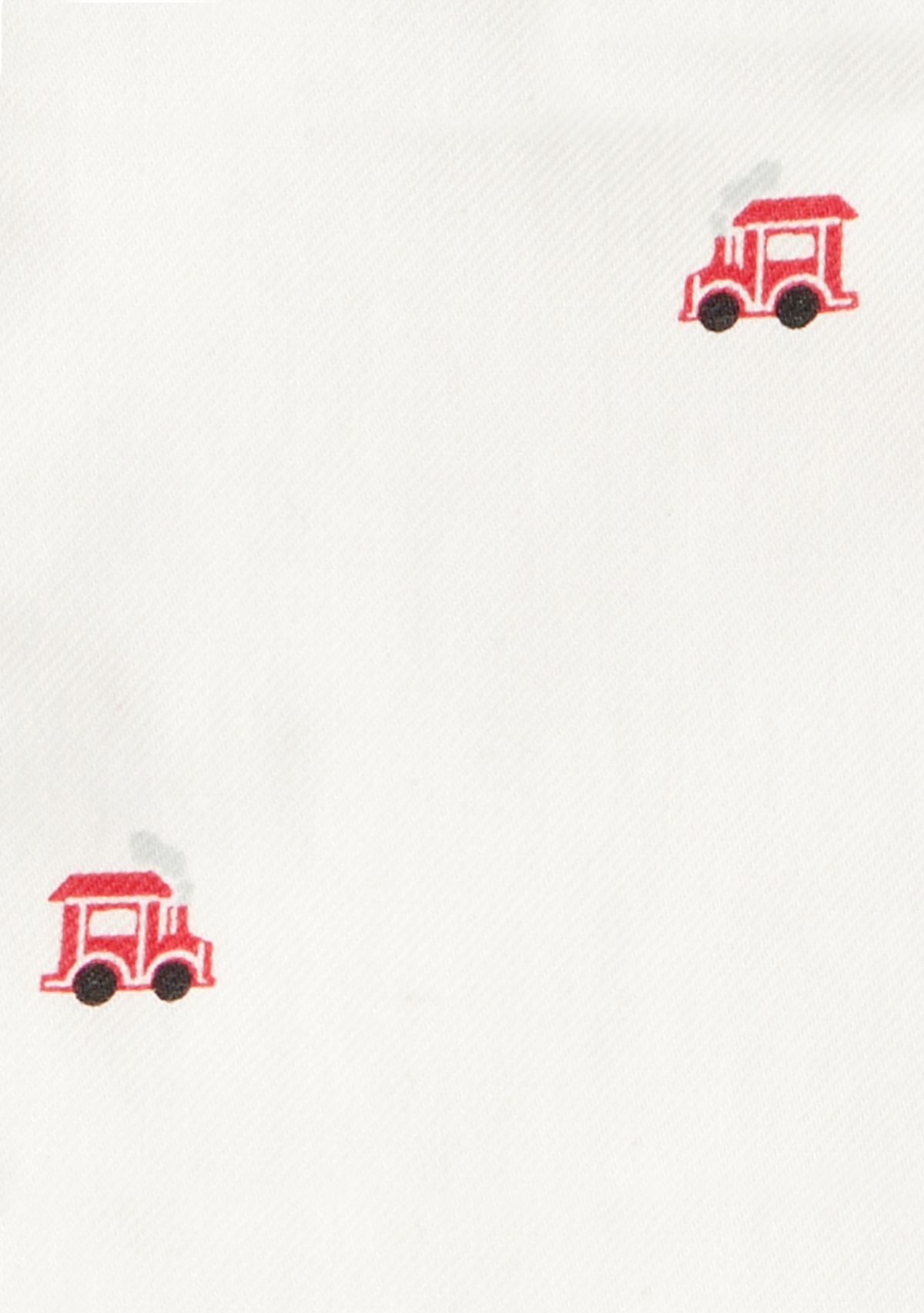 Baby Boys Long Sleeve Printed Bodysuit 