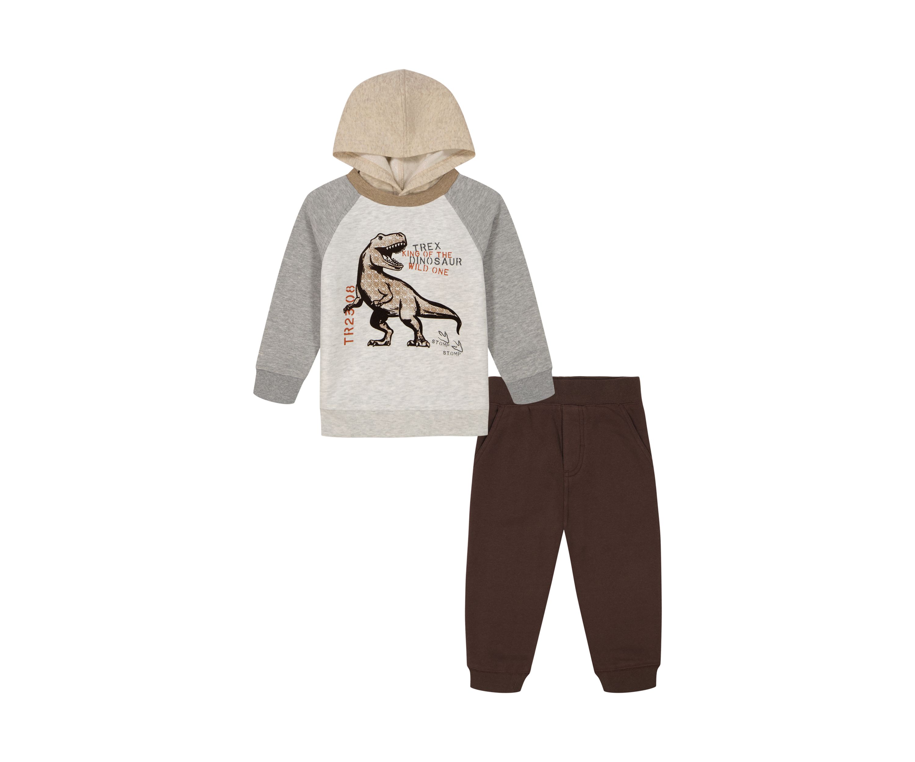 Baby Boys Dinosaur Graphic Hoodie and Fleece Joggers Set