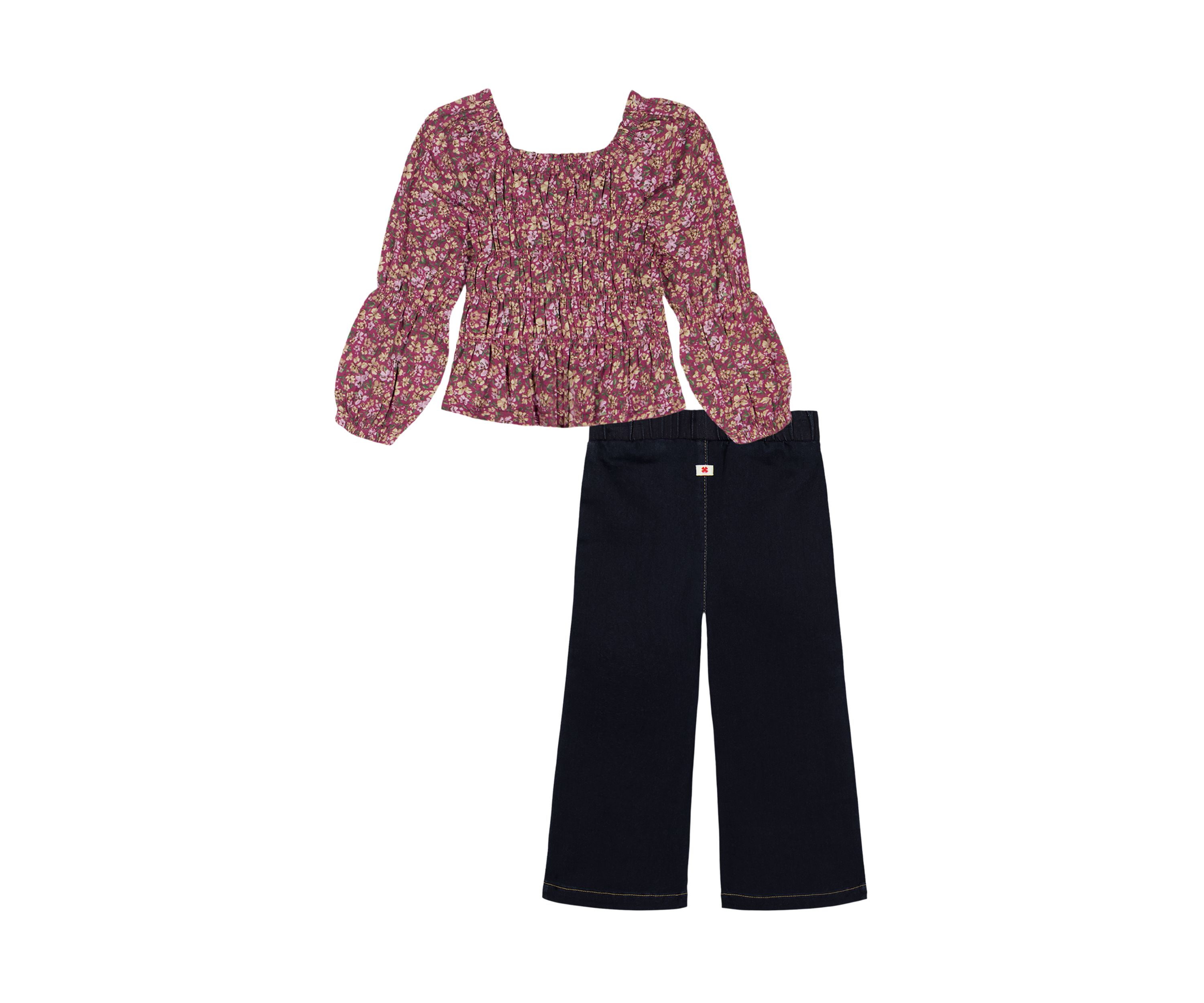 Toddler Girls Printed Top and Flared Pants Set