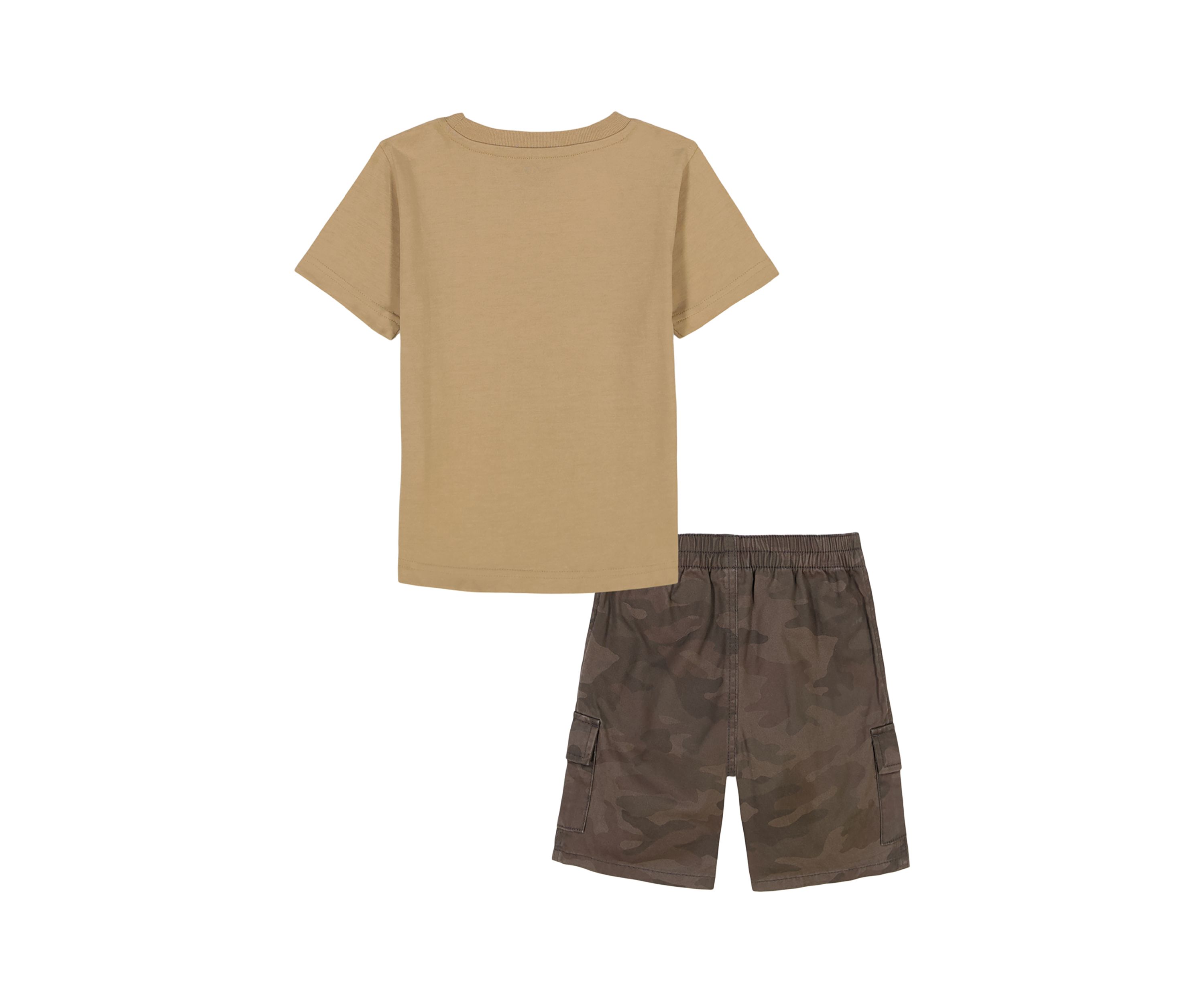 Toddler Boys Graphic T-Shirt and Shorts Set