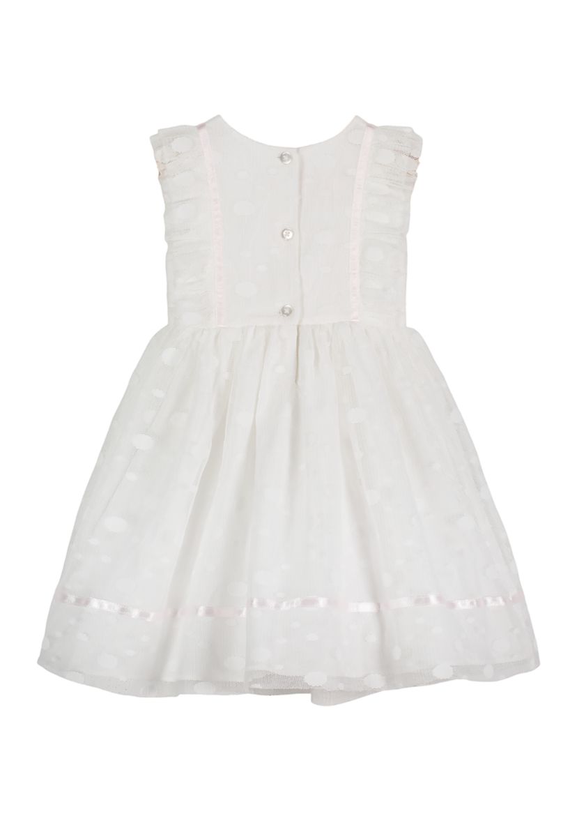 Baby Girls Mesh Dot Ribbon Trim Tess Dress