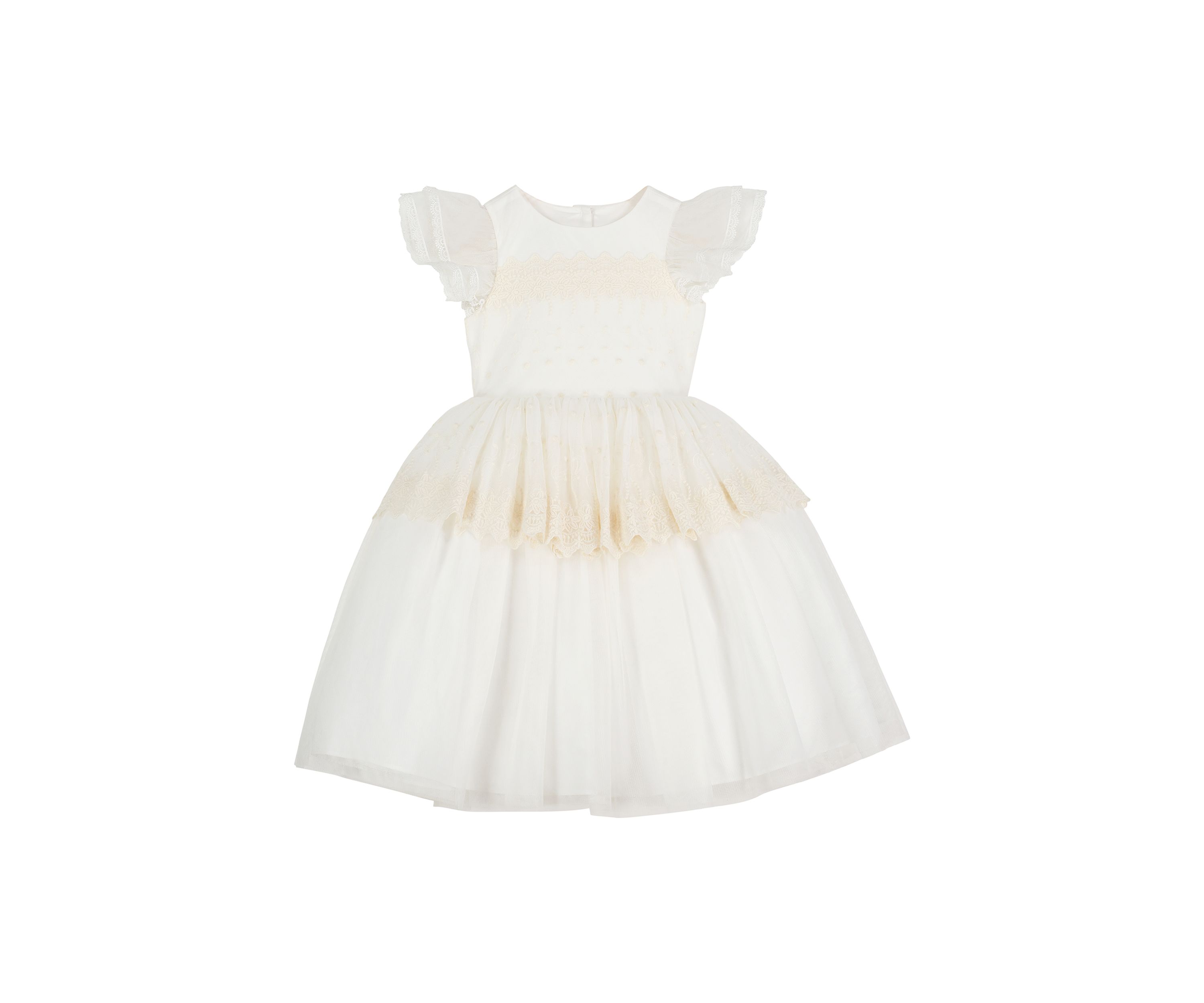 Toddler Girls Flutter Sleeve Embroidered Peplum Dress