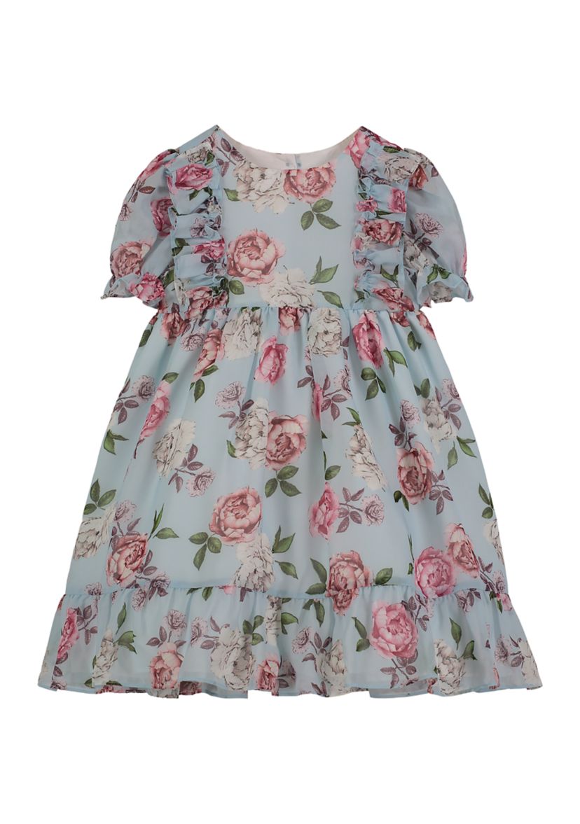 Toddler Girls Empire Waist Floral Printed Chiffon Dress