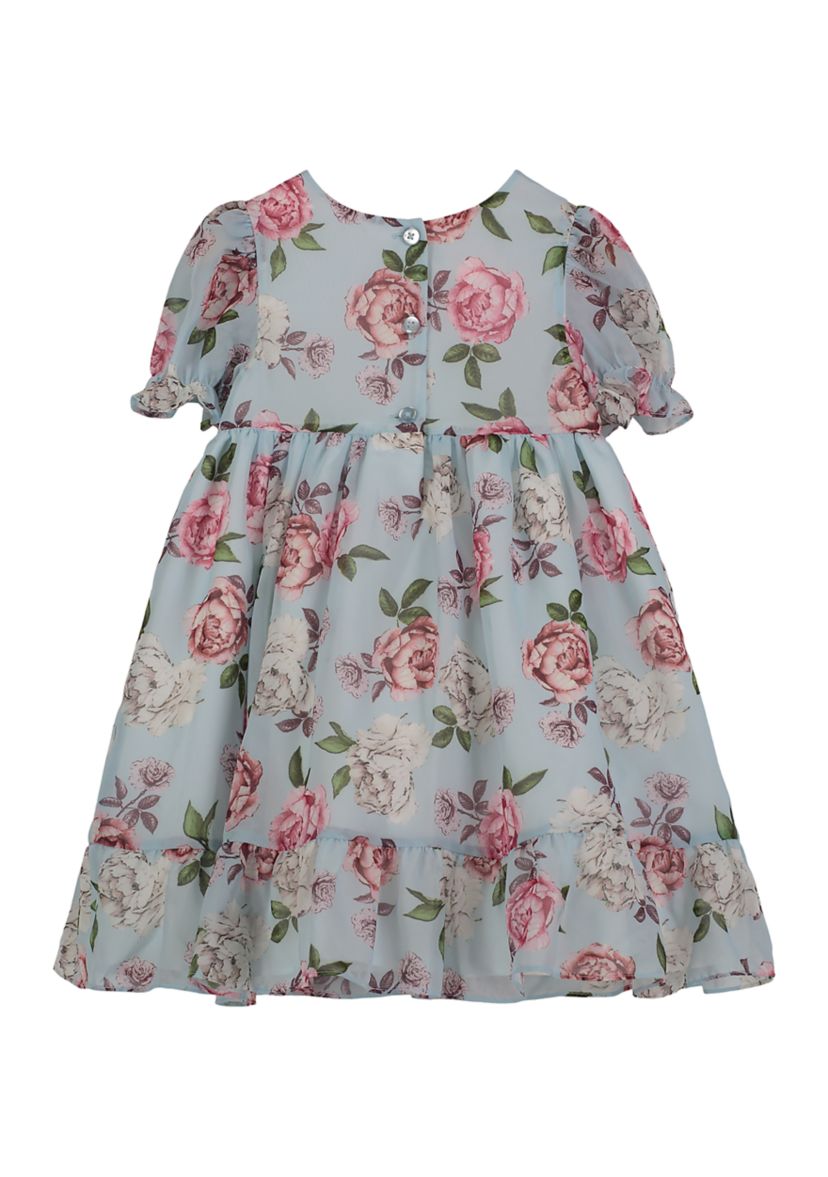 Toddler Girls Empire Waist Floral Printed Chiffon Dress