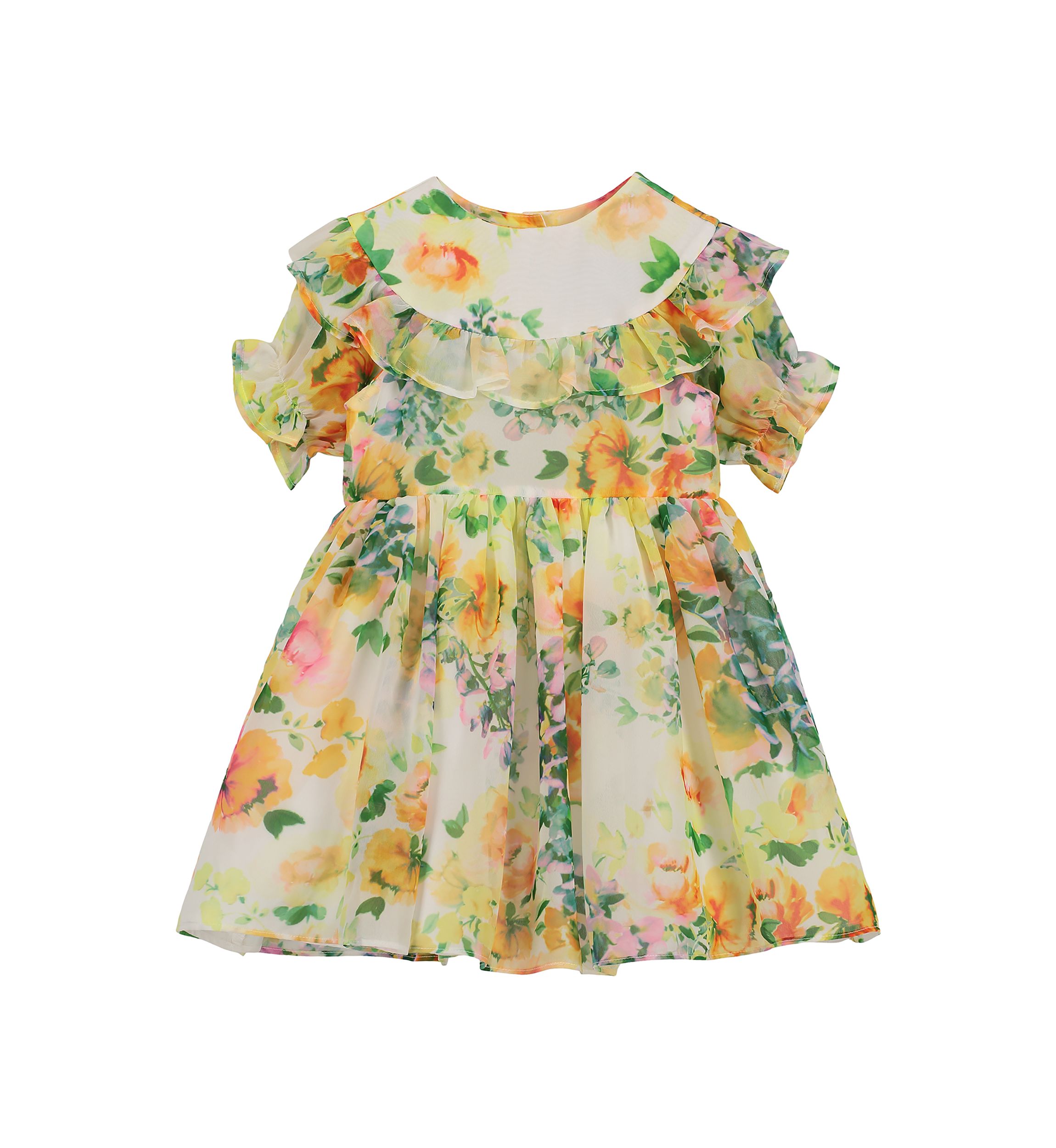 Baby Girls Ruffle Yoke Floral Printed Chiffon Dress