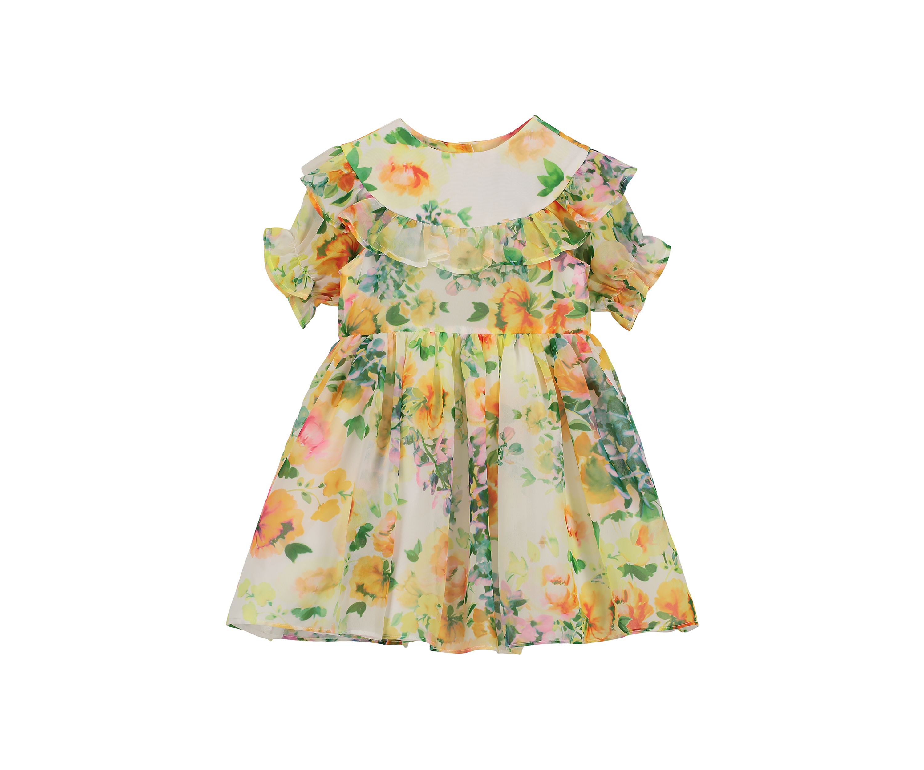 Baby Girls Ruffle Yoke Floral Printed Chiffon Dress