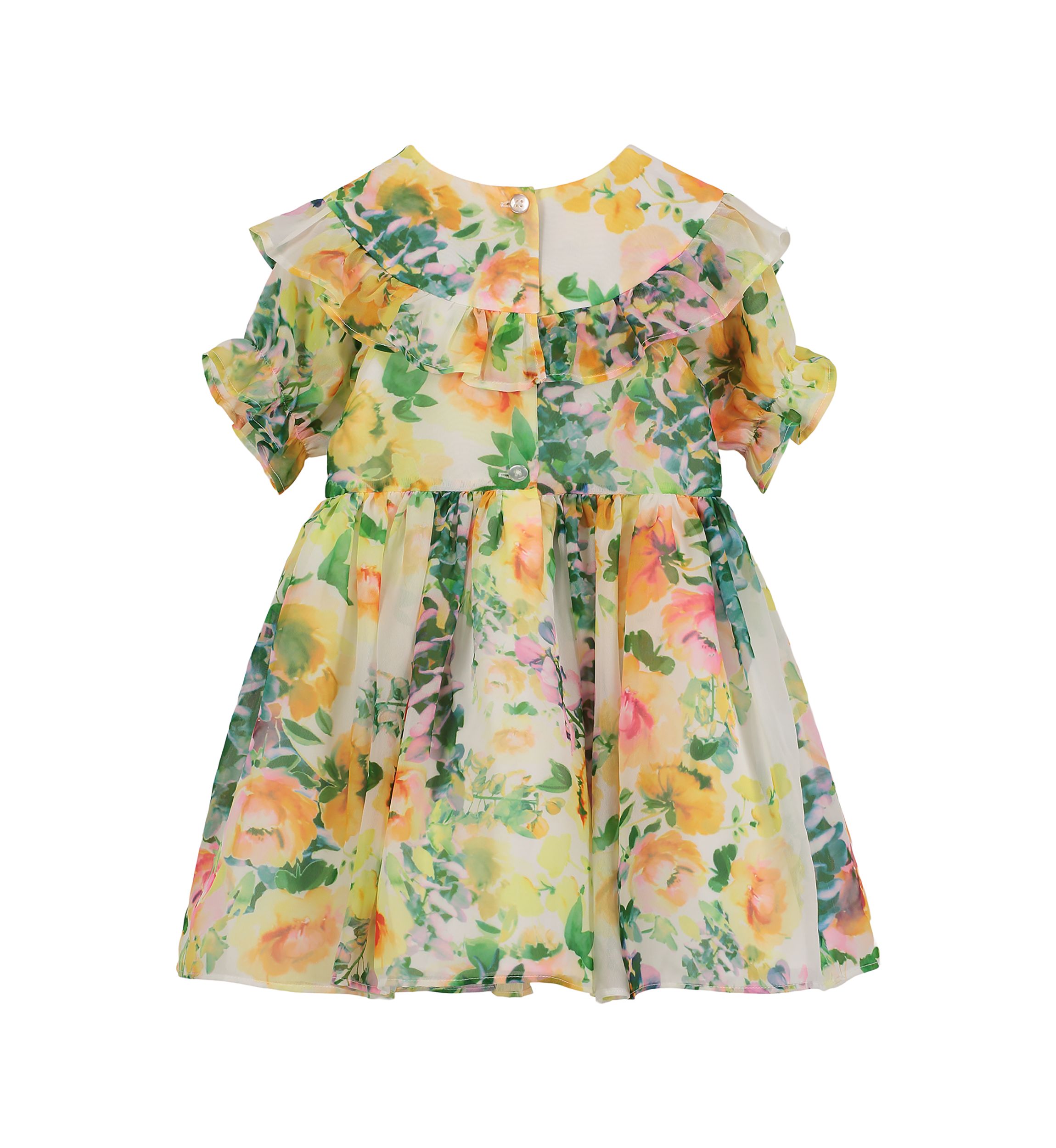 Baby Girls Ruffle Yoke Floral Printed Chiffon Dress
