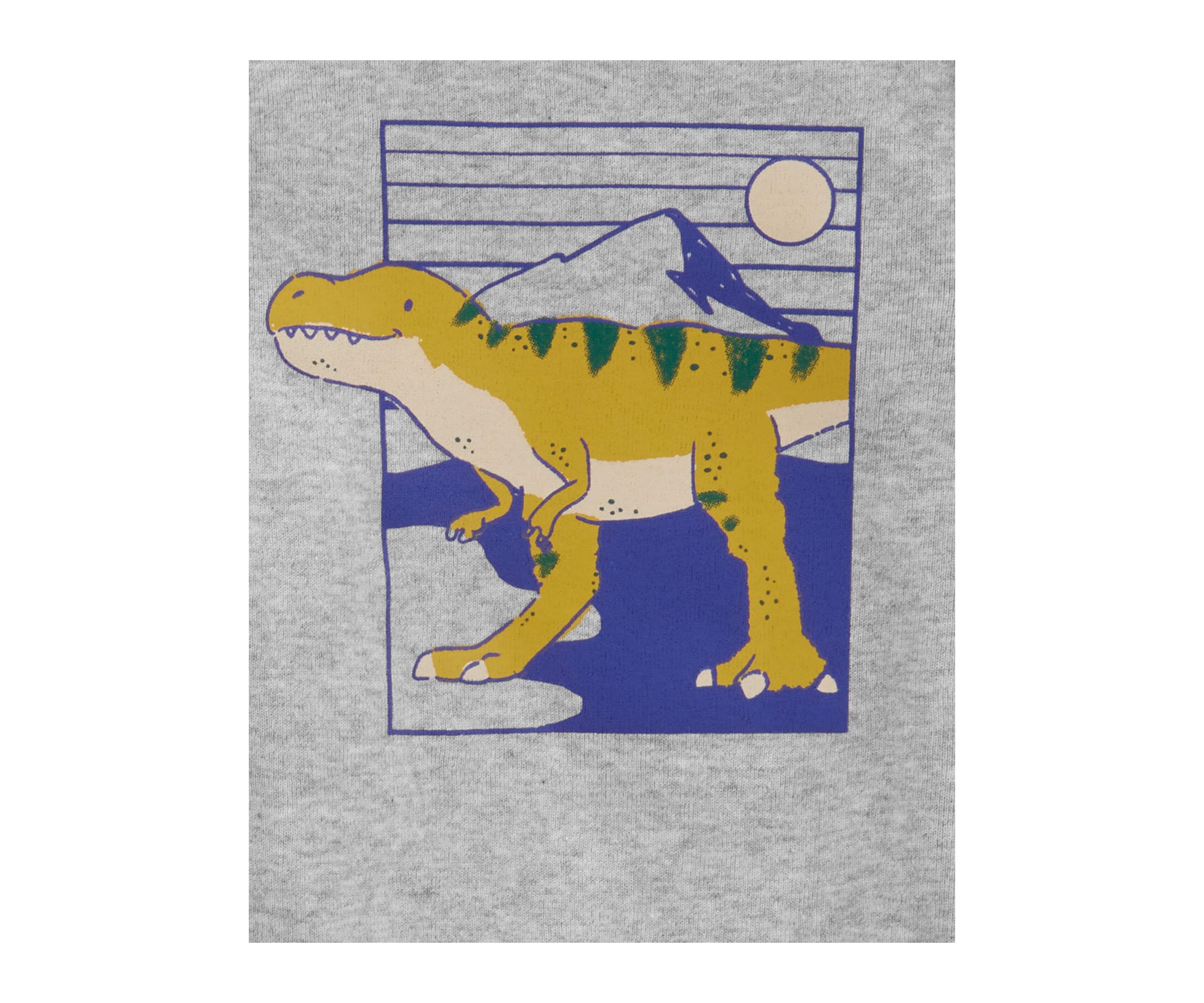 Baby Boys Dinosaur Graphic Bodysuit and Printed Pants Set