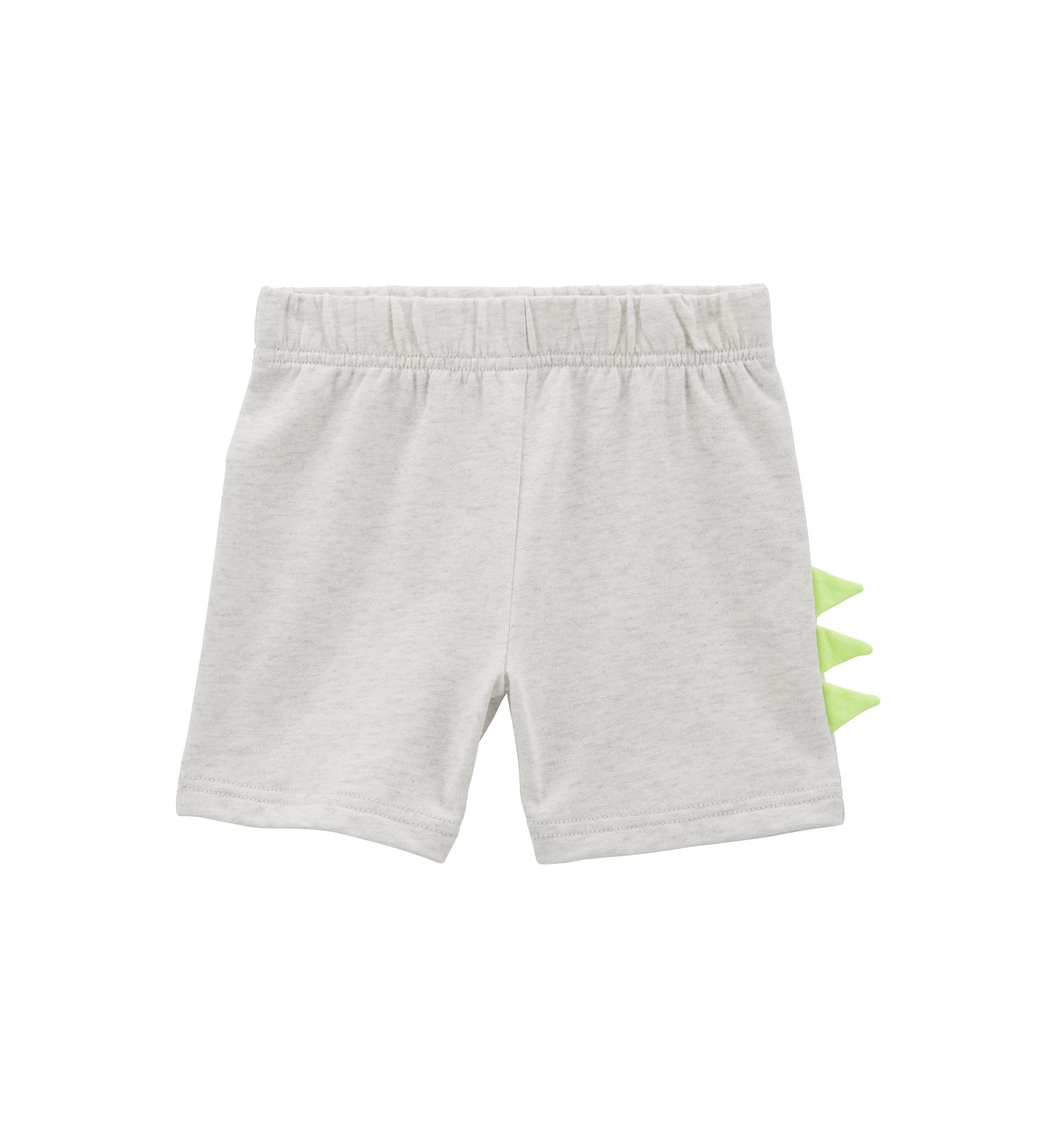 Baby Boys Short Sleeve Dino Graphic T-Shirt and Shorts Set