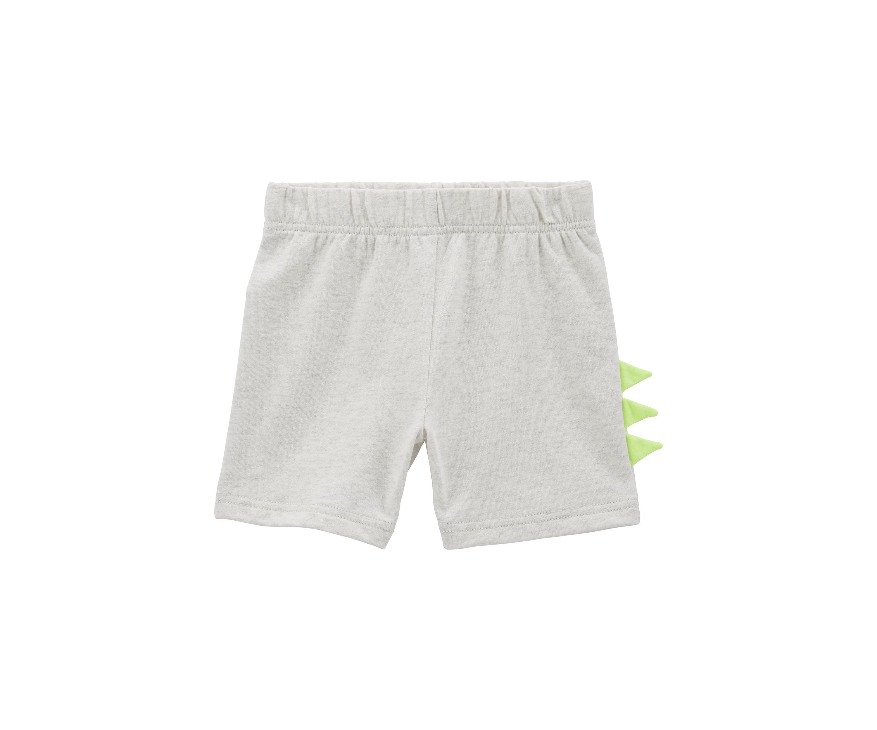 Baby Boys Short Sleeve Dino Graphic T-Shirt and Shorts Set