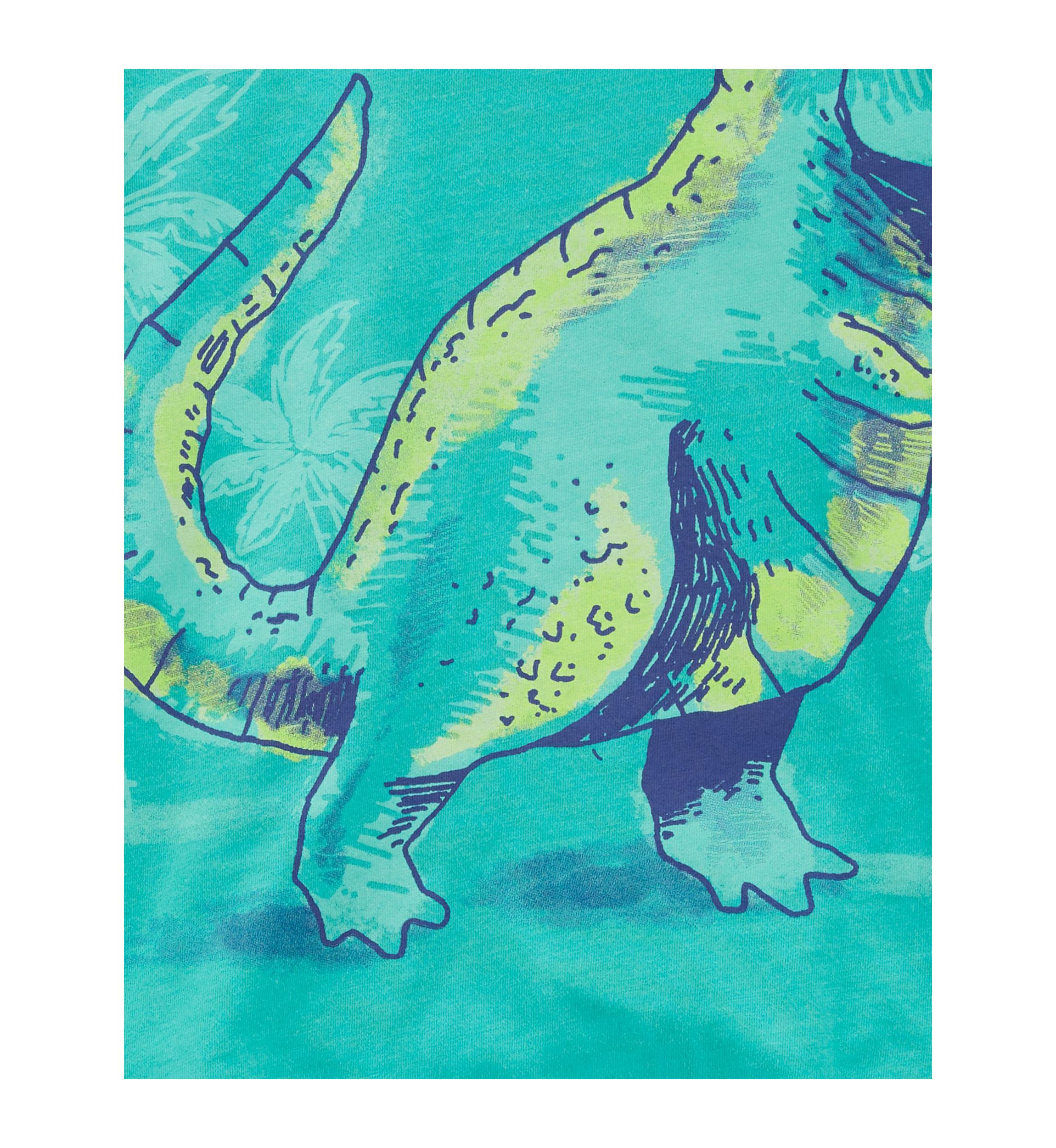 Baby Boys Short Sleeve Dino Graphic T-Shirt and Shorts Set