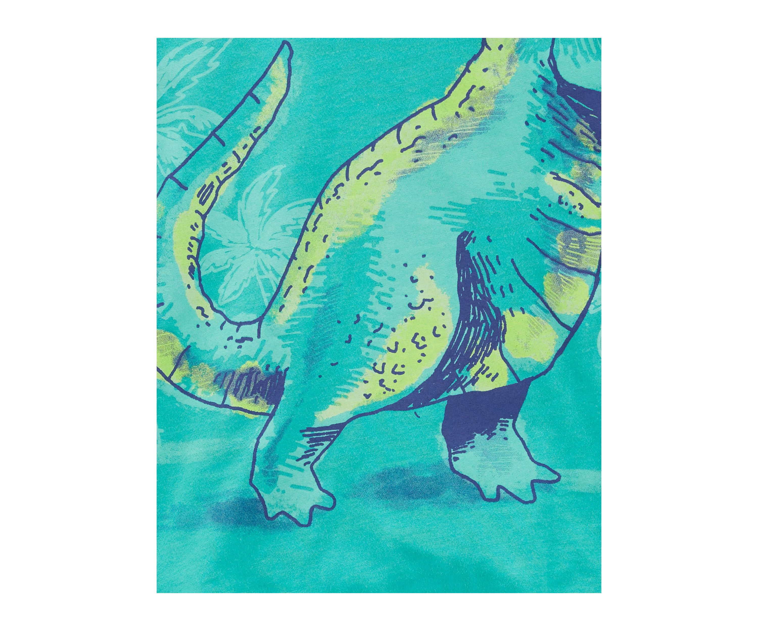 Baby Boys Short Sleeve Dino Graphic T-Shirt and Shorts Set