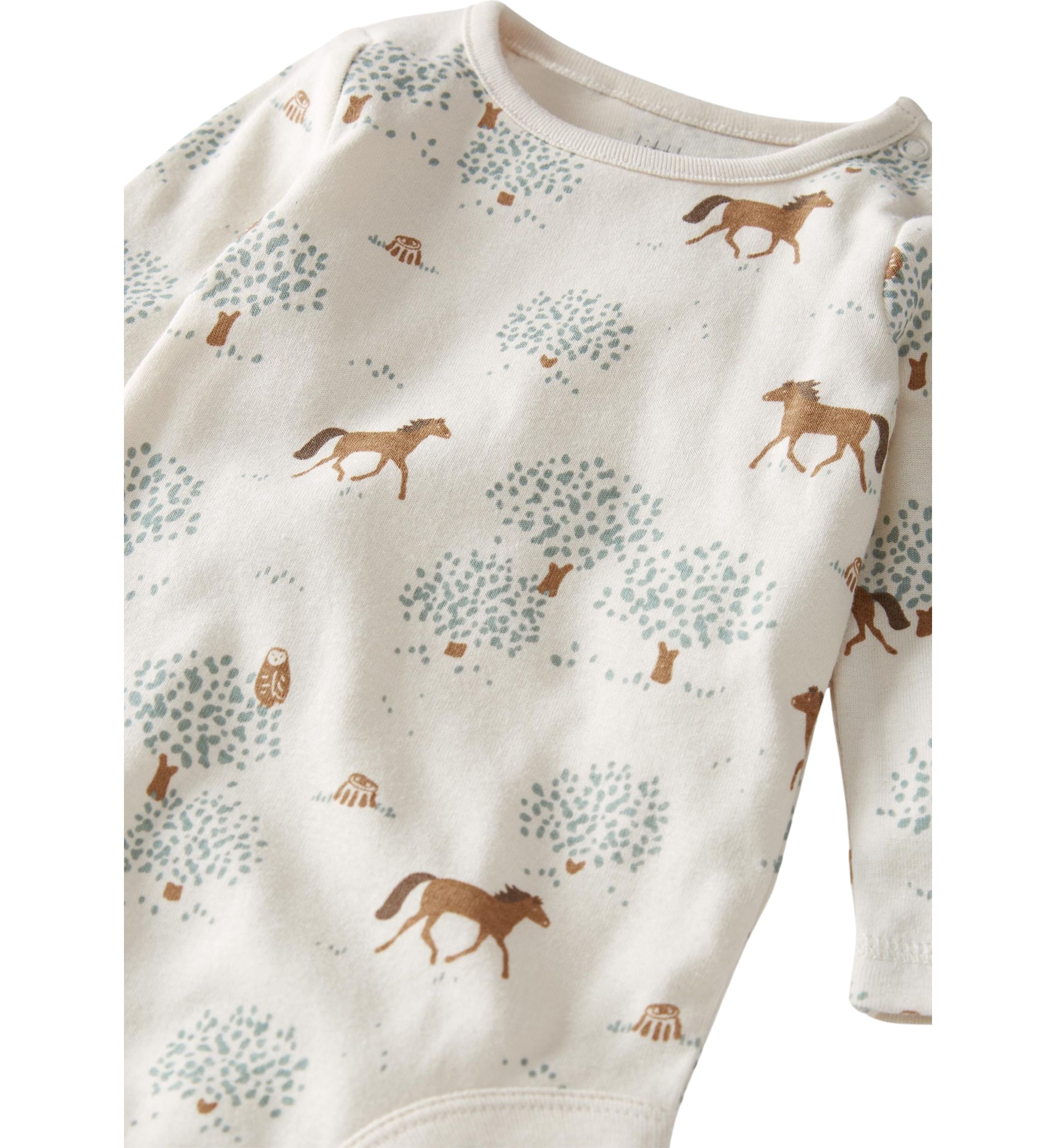 Baby Boys Printed Bodysuits - 2 Pack