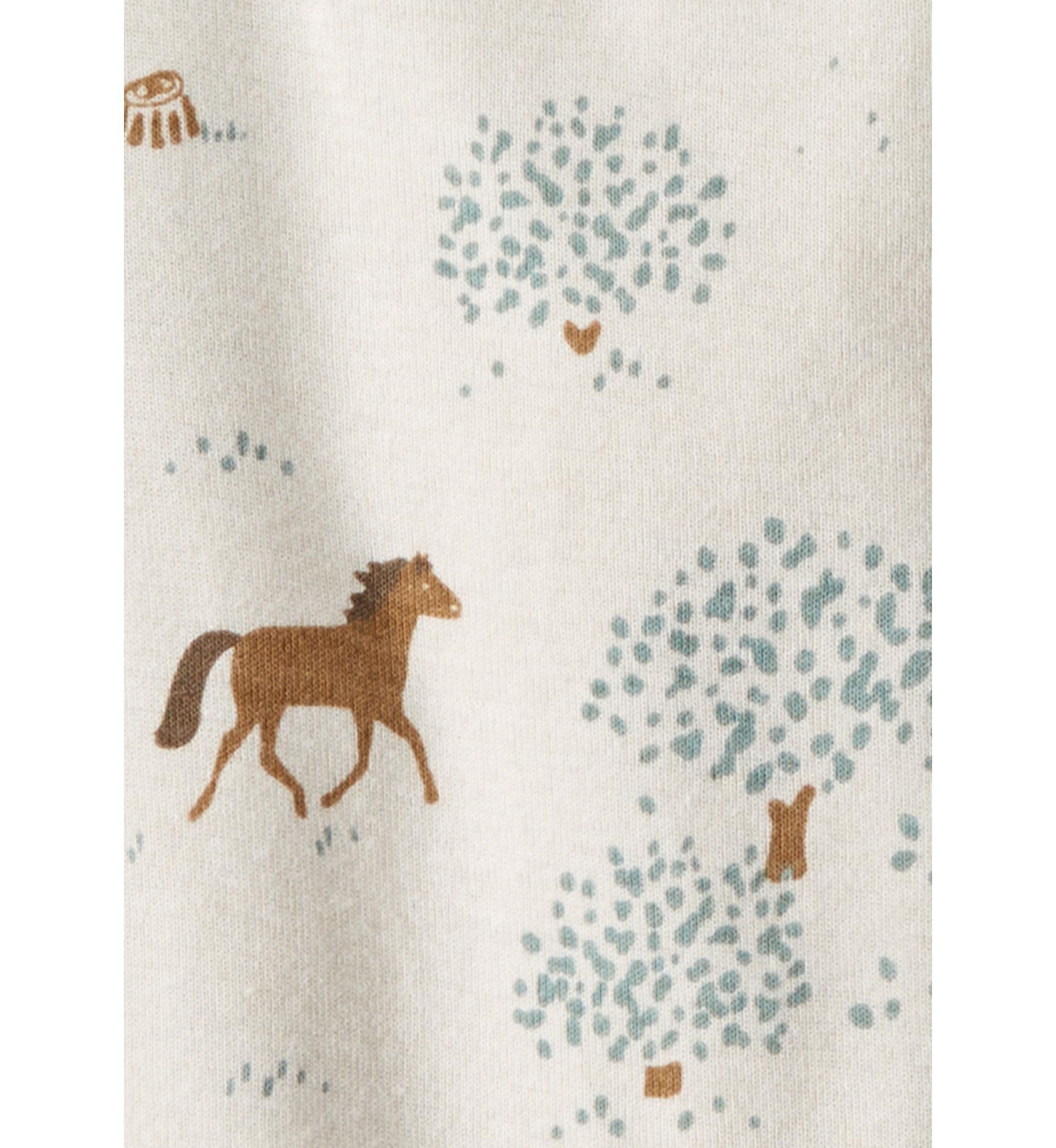 Baby Boys Printed Bodysuits - 2 Pack