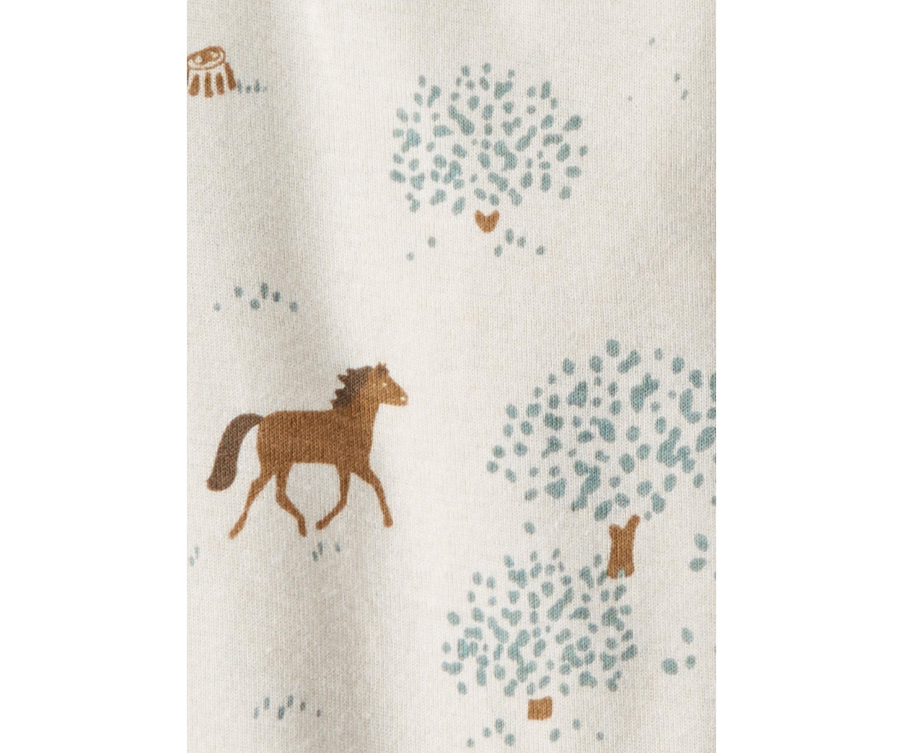 Baby Boys Printed Bodysuits - 2 Pack