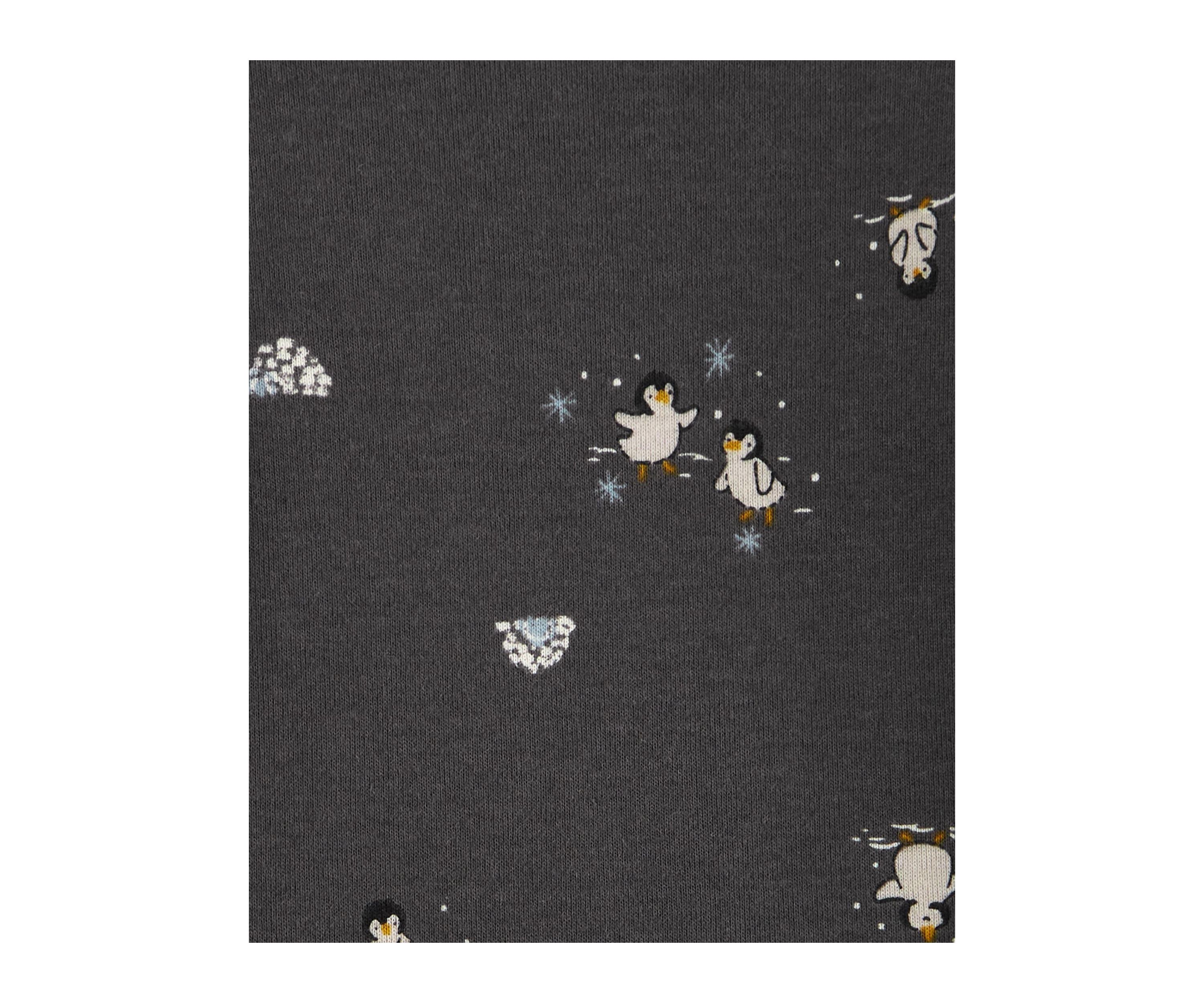 Baby Boys Penguin Bodysuit Set