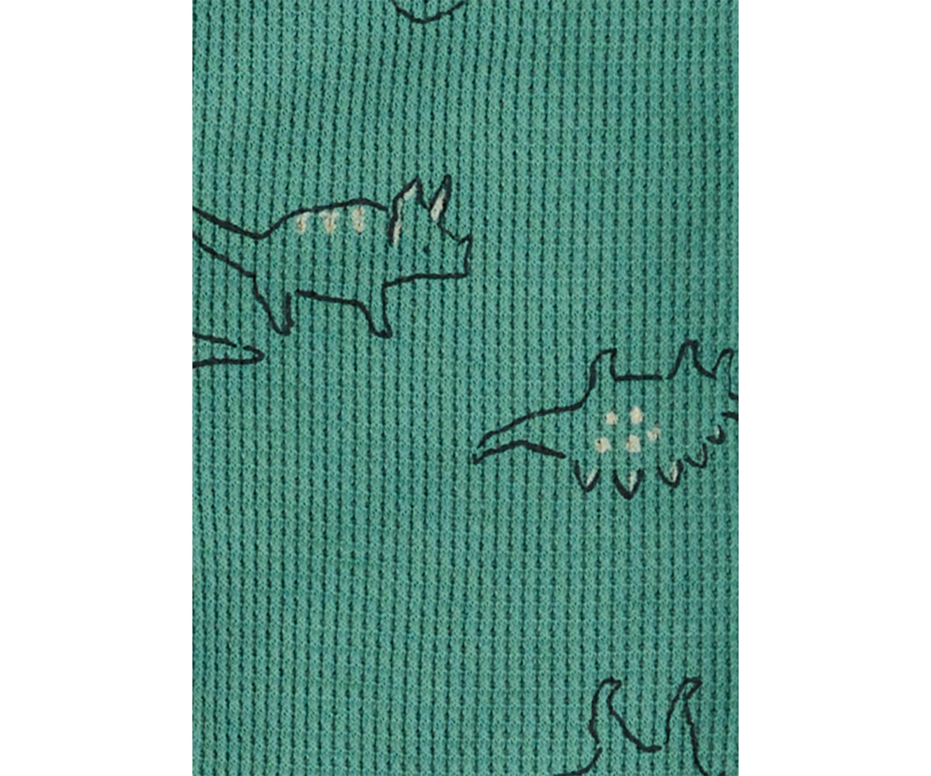Toddler Boys Dinosaur Printed Thermal Footie Pajamas