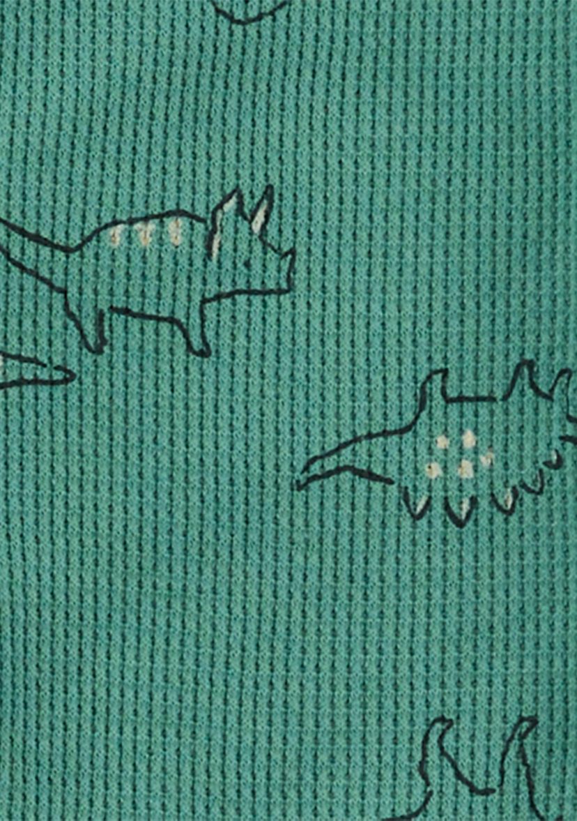 Toddler Boys Dinosaur Printed Thermal Footie Pajamas
