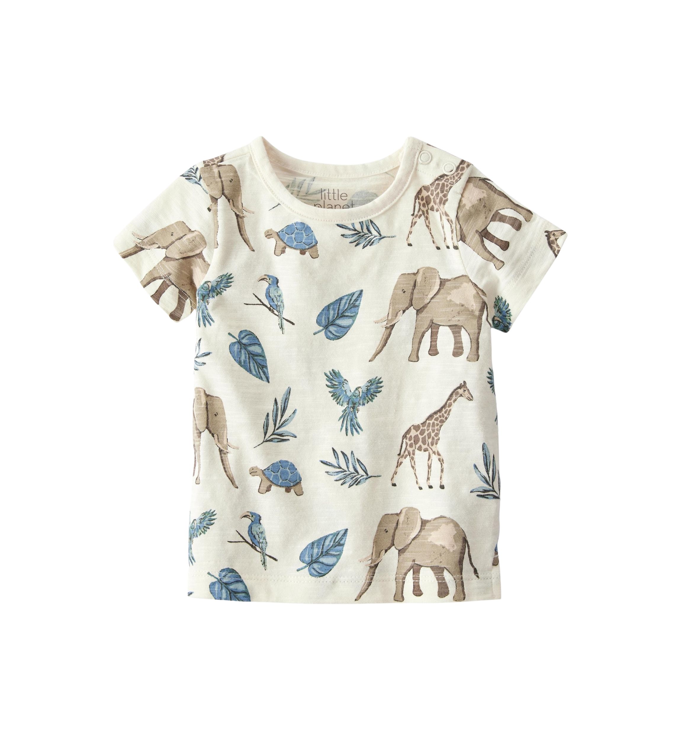Baby Boys Shortall Set 