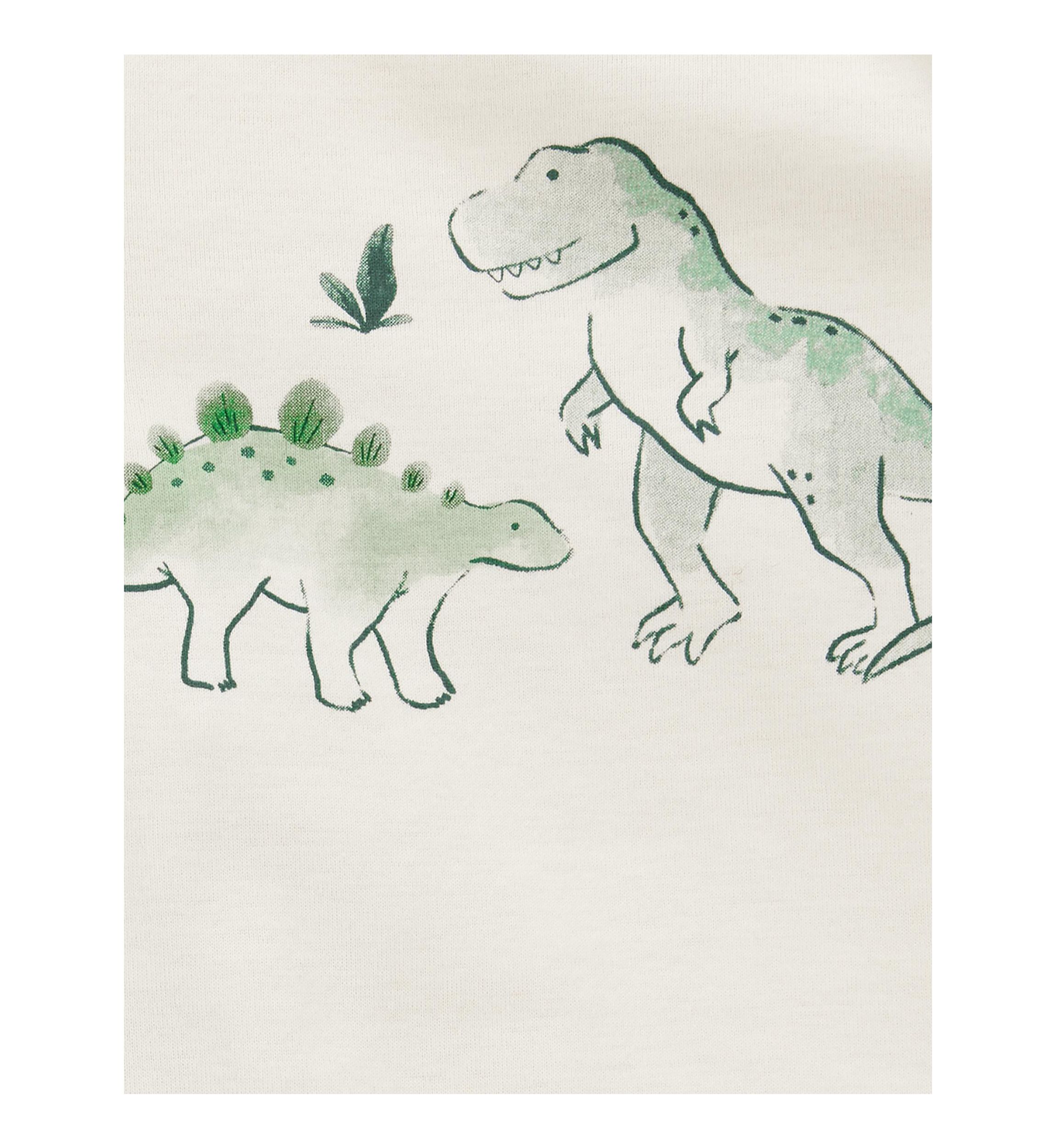 Baby Boys Dinosaur Set 