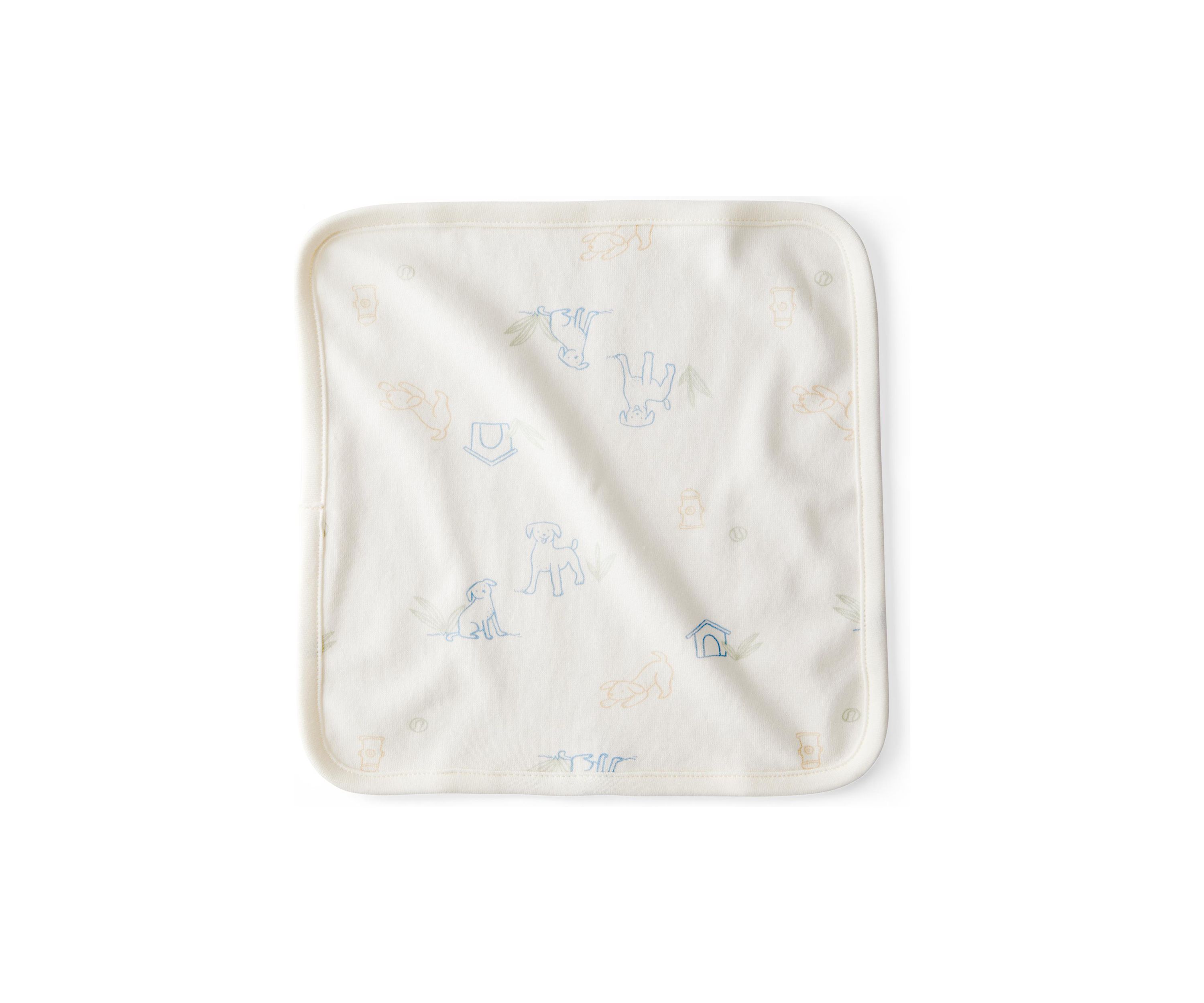 Baby Boys 6-Pack of Washcloths 