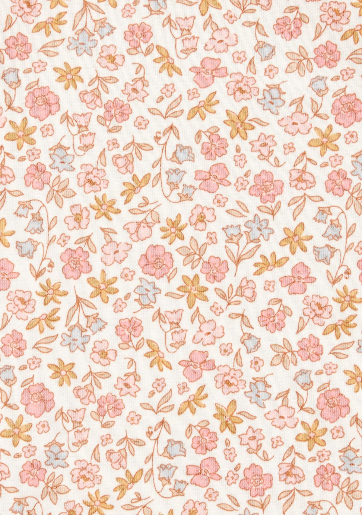 Baby Girls Short Sleeve Bodysuits - 5 Pack