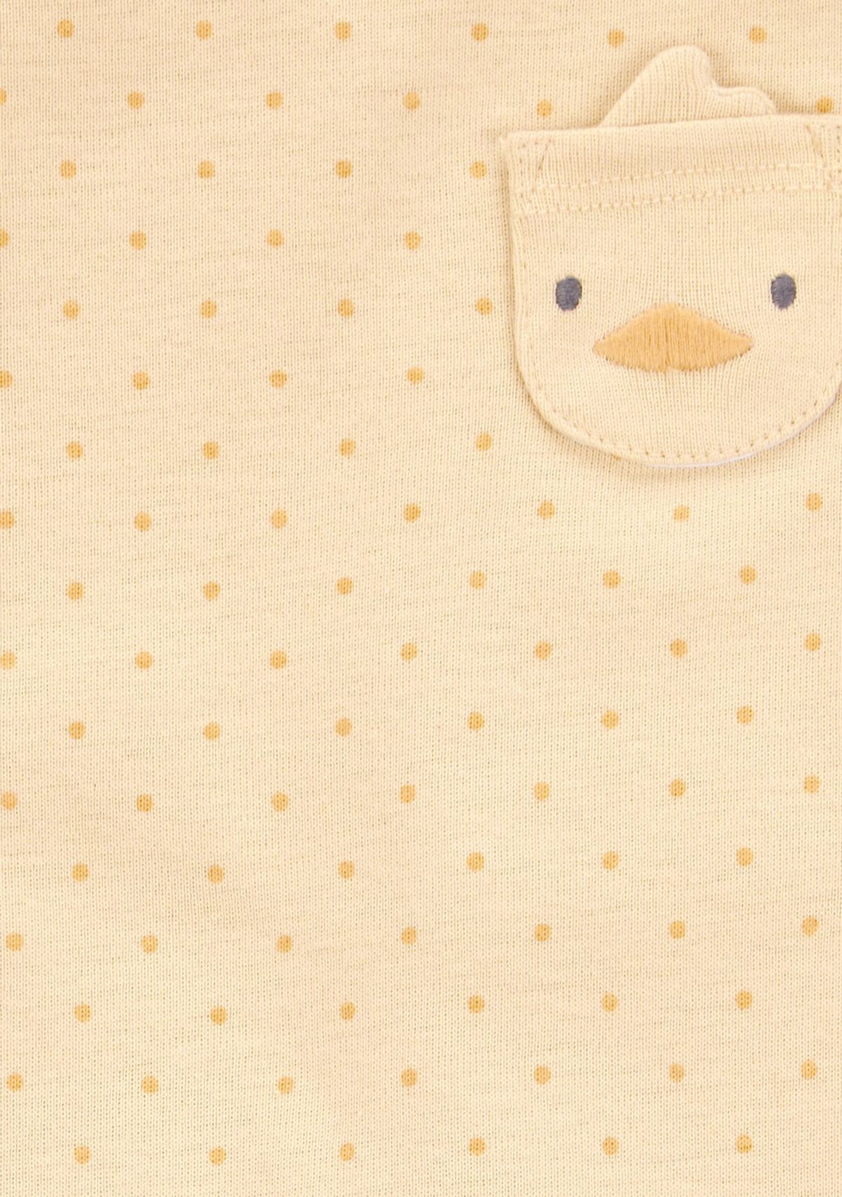 Baby Girls Short Sleeve Bodysuits - 5 Pack