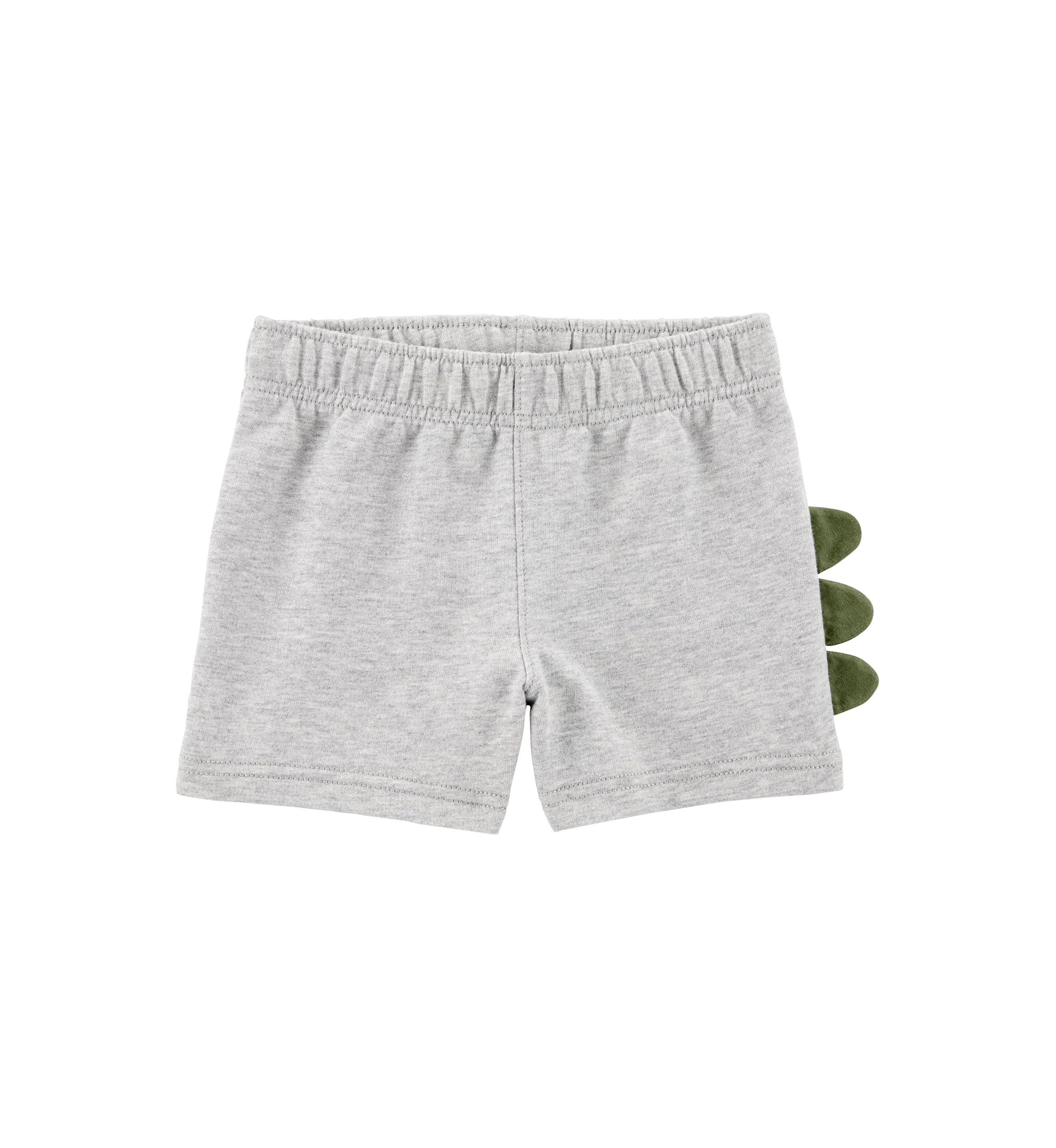 Baby Boys Dinosaur Graphic T-Shirt and Shorts Set