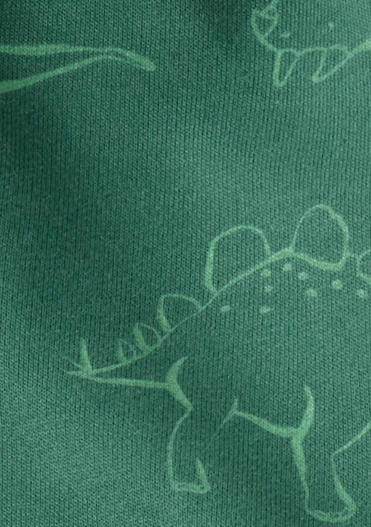 Baby Boys Dinosaur Set 