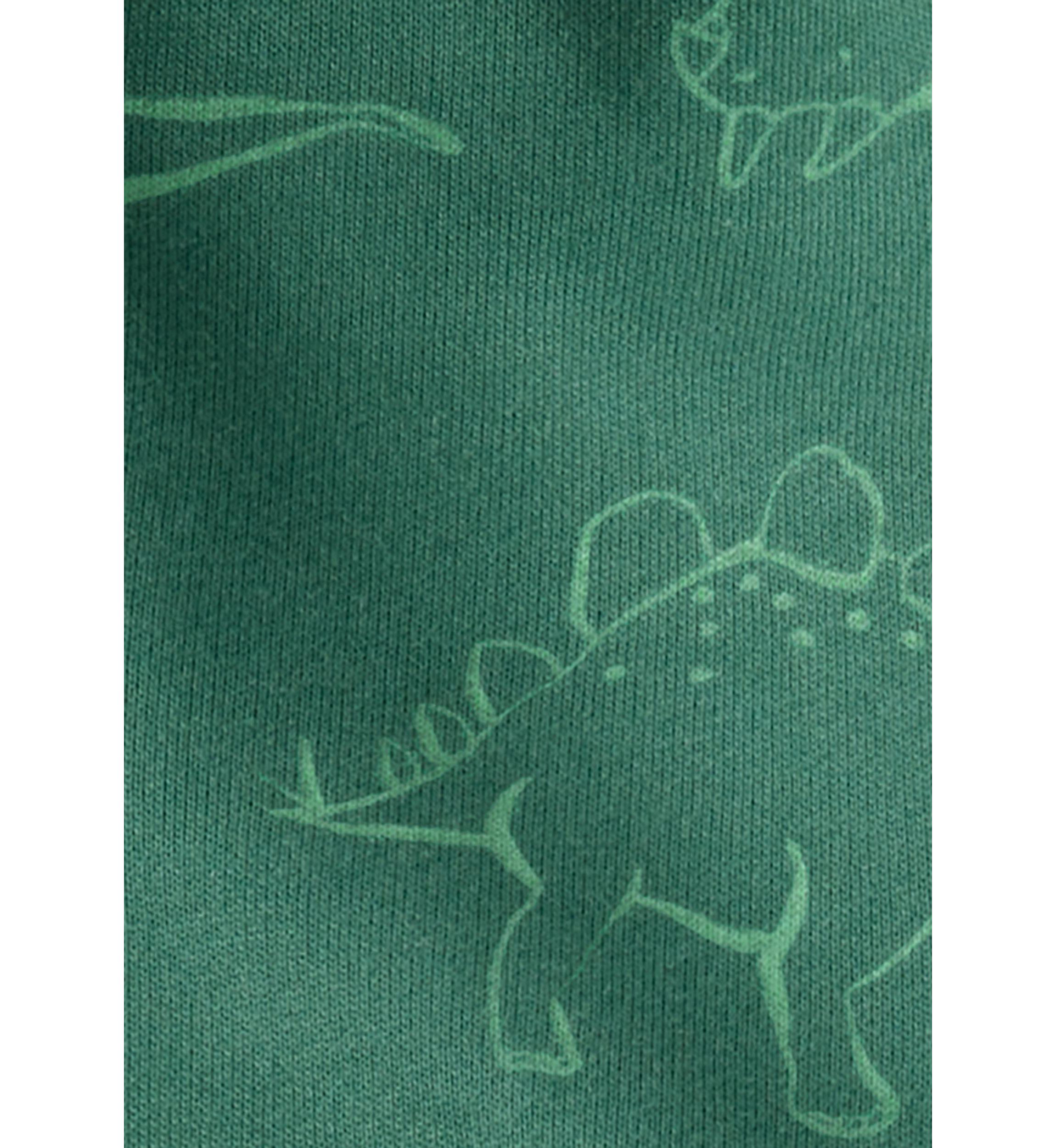 Baby Boys Dinosaur Set 
