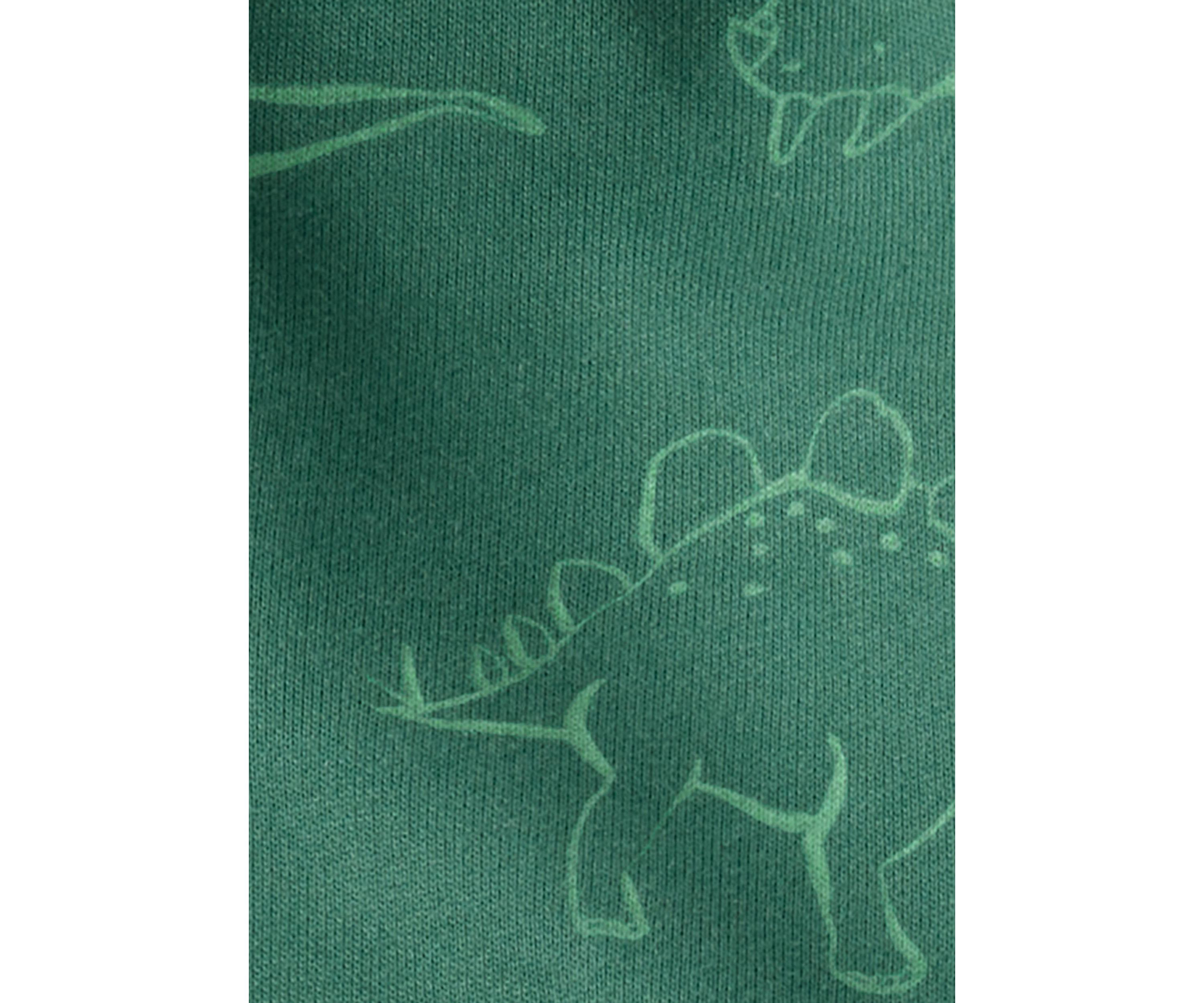 Baby Boys Dinosaur Set 