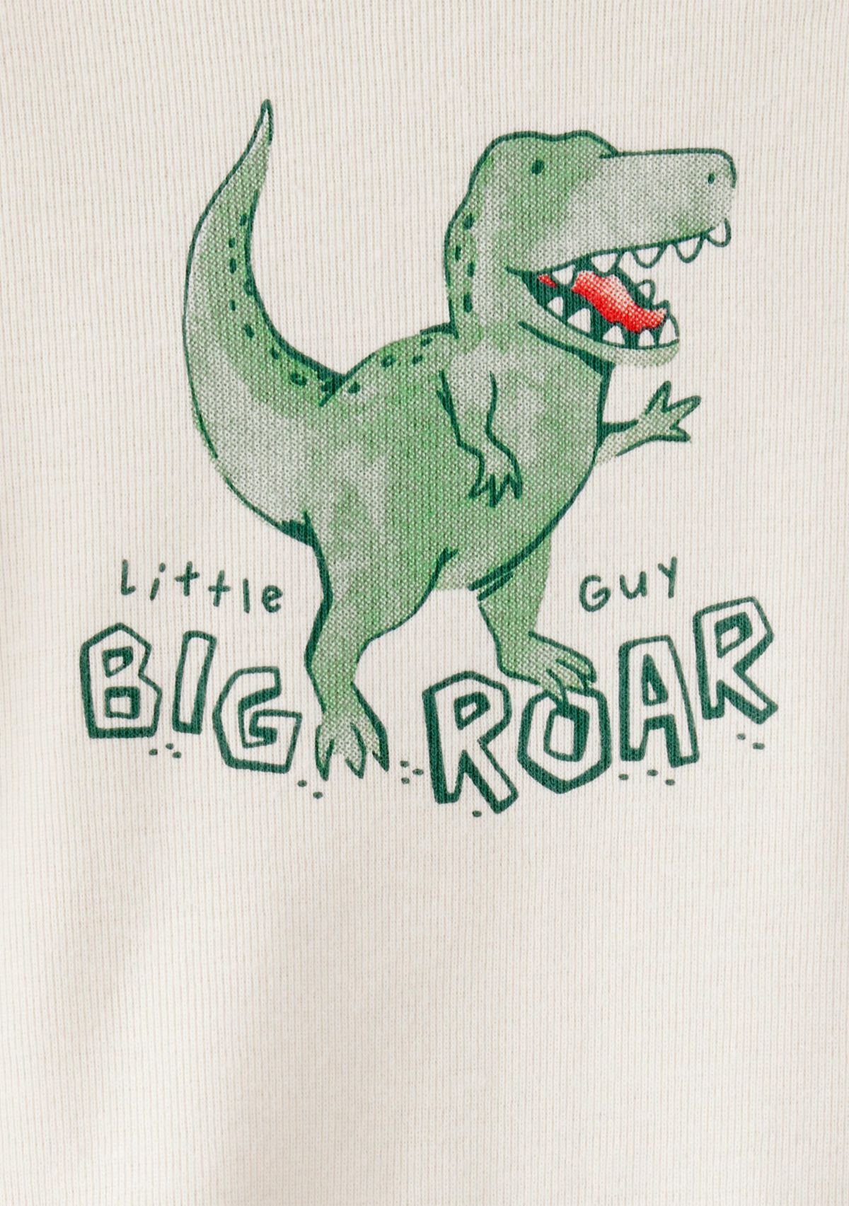 Baby Boys Dinosaur Set 