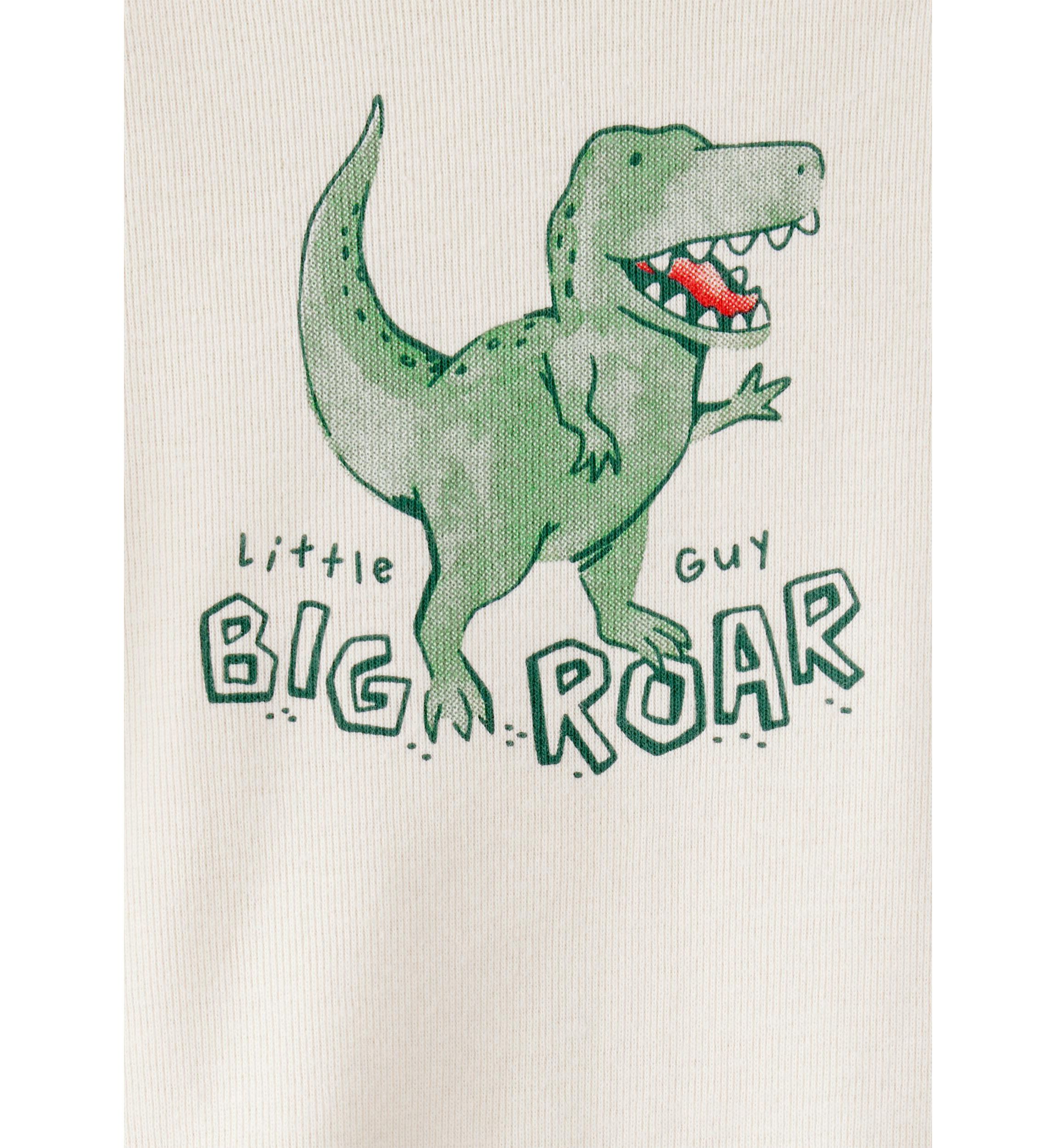 Baby Boys Dinosaur Set 