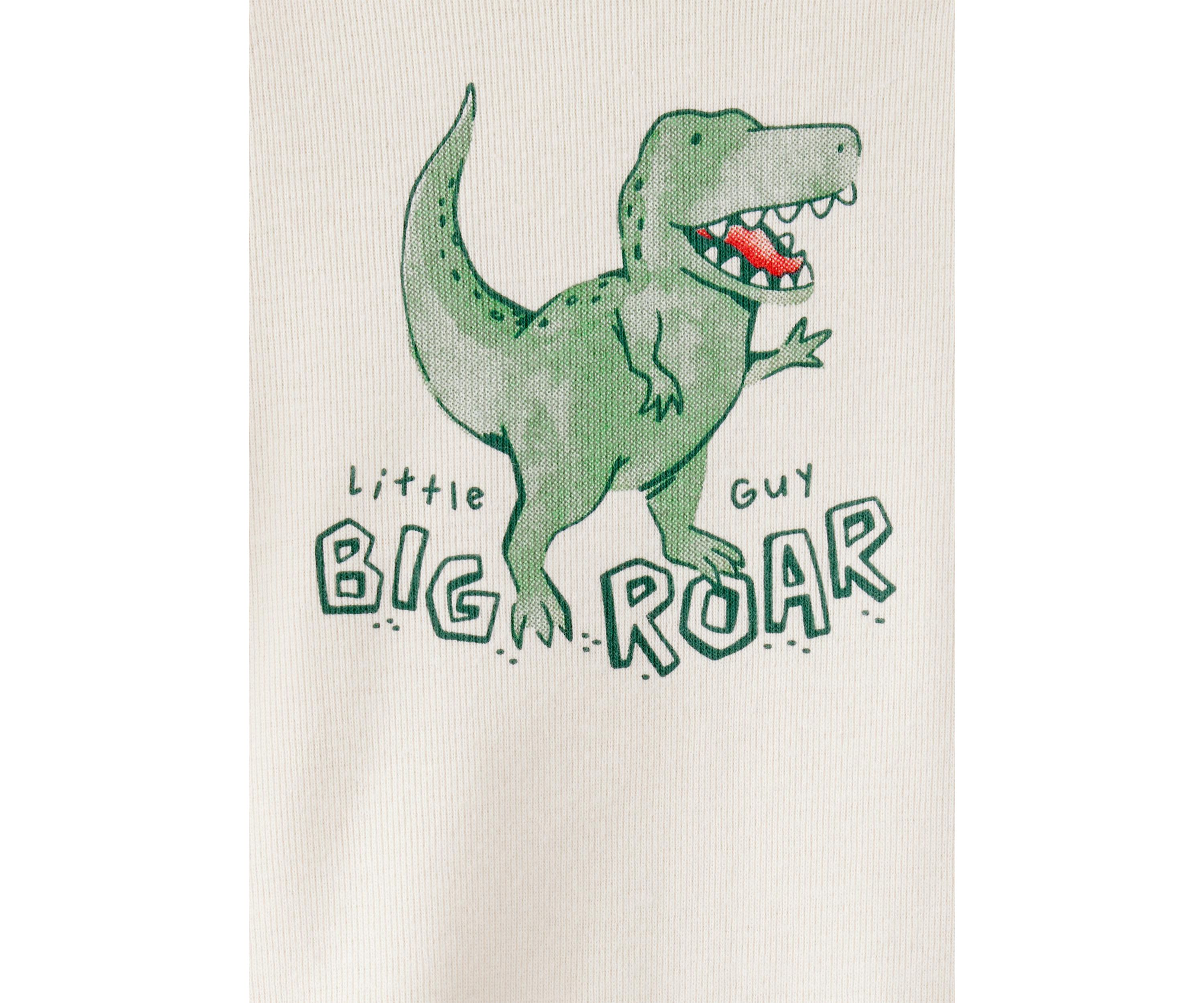 Baby Boys Dinosaur Set 