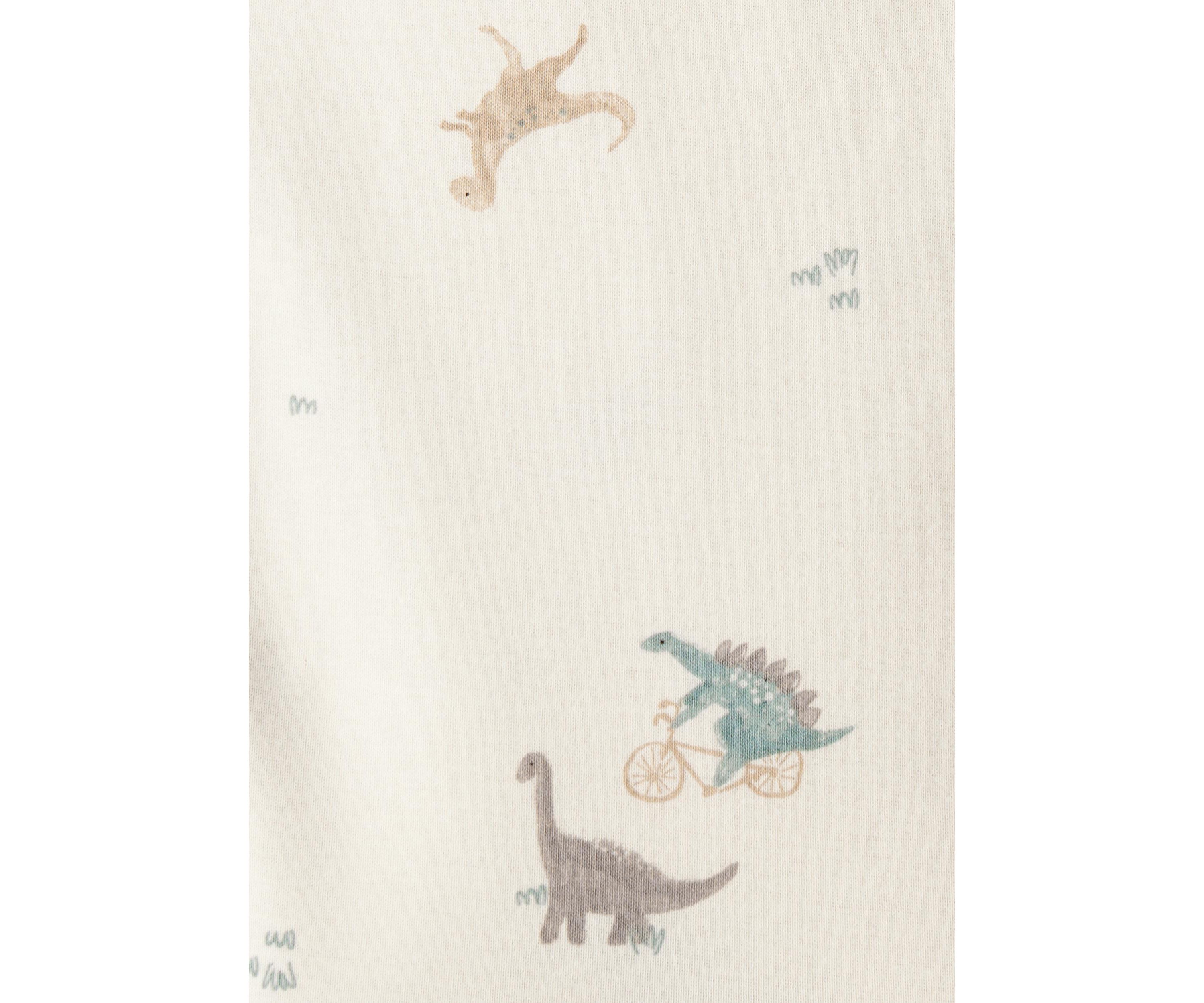 Baby Boys Dinosaur Vest Set 