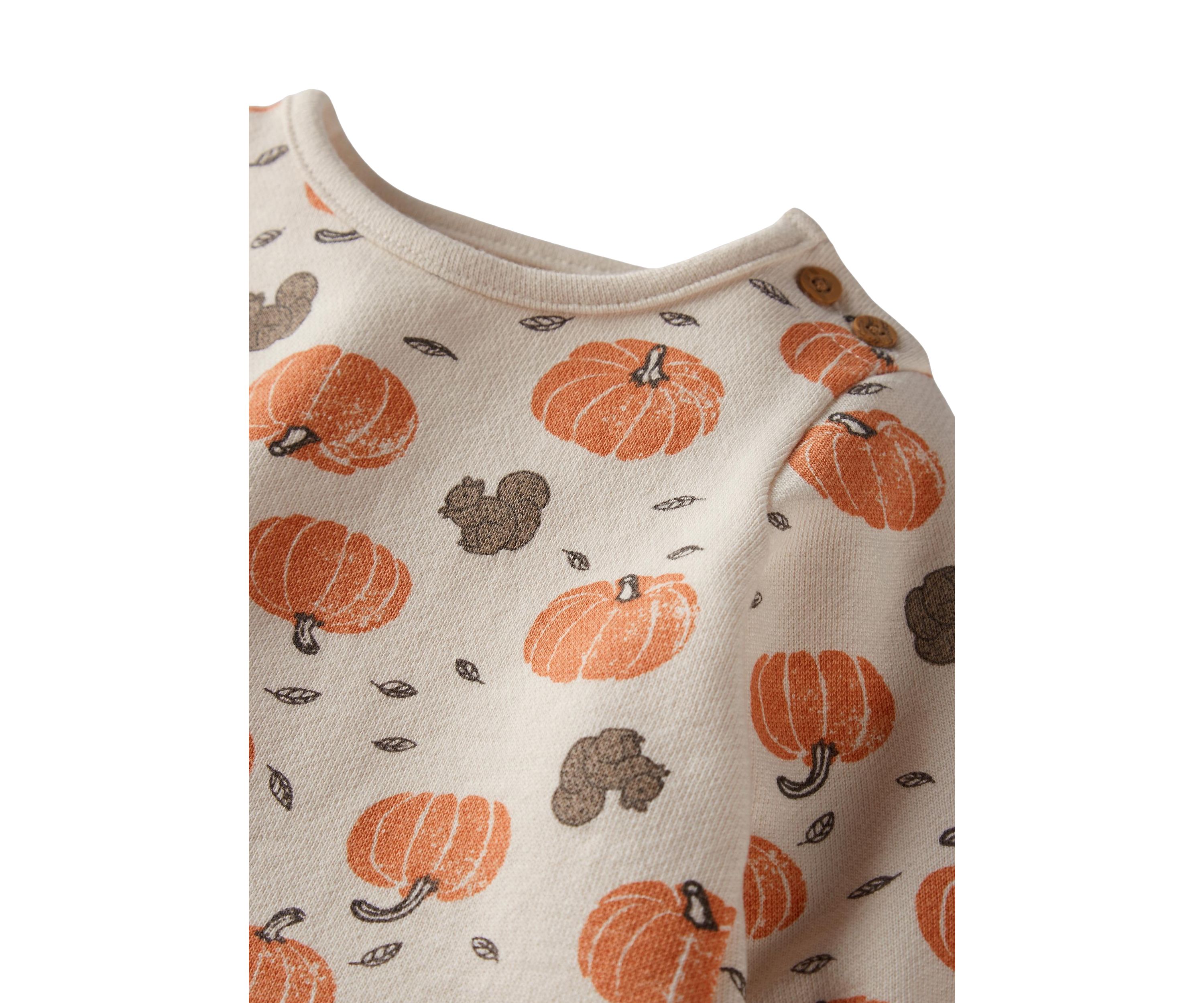 Baby Harvest 2 Piece Set