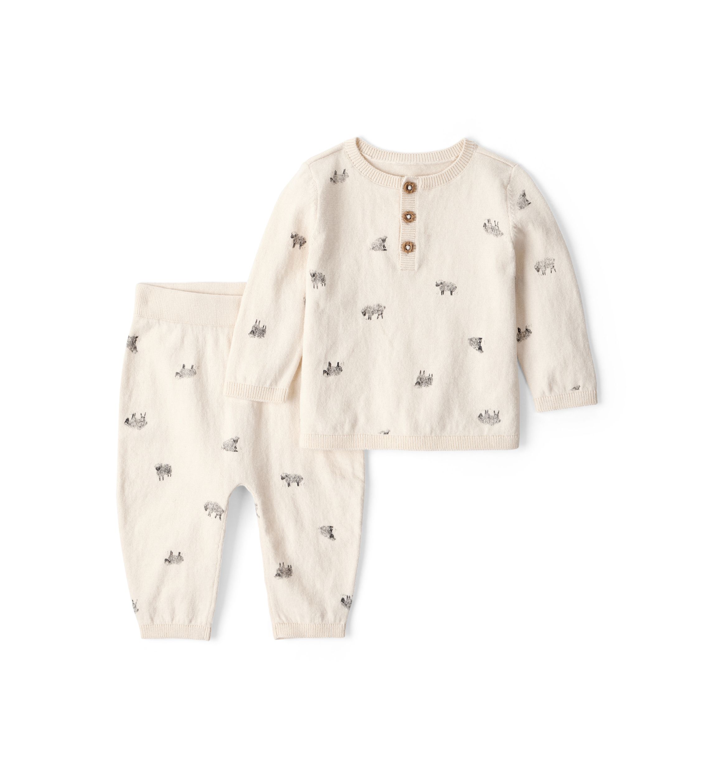 Baby Boys Printed Sweater and Joggers Set