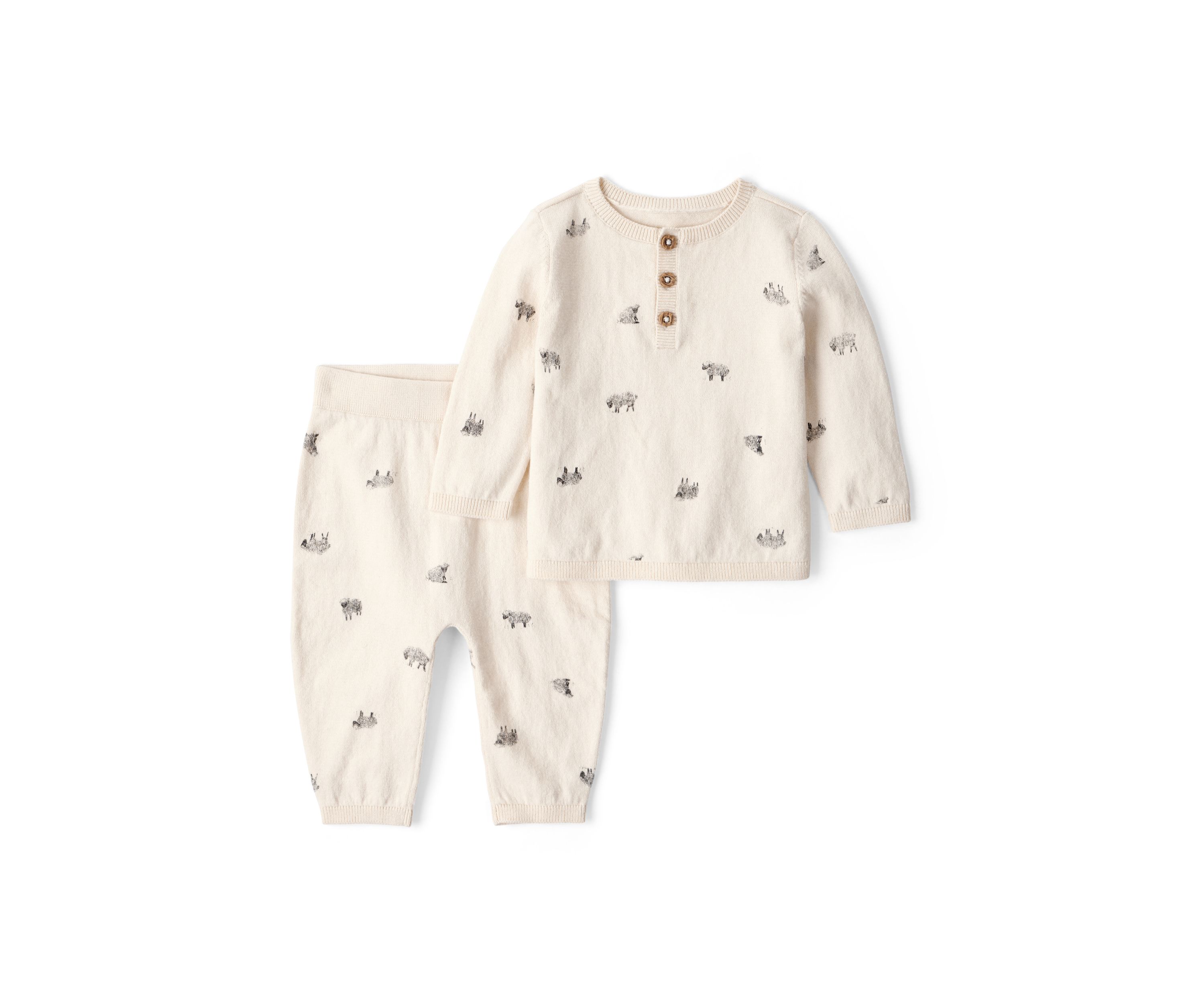 Baby Boys Printed Sweater and Joggers Set