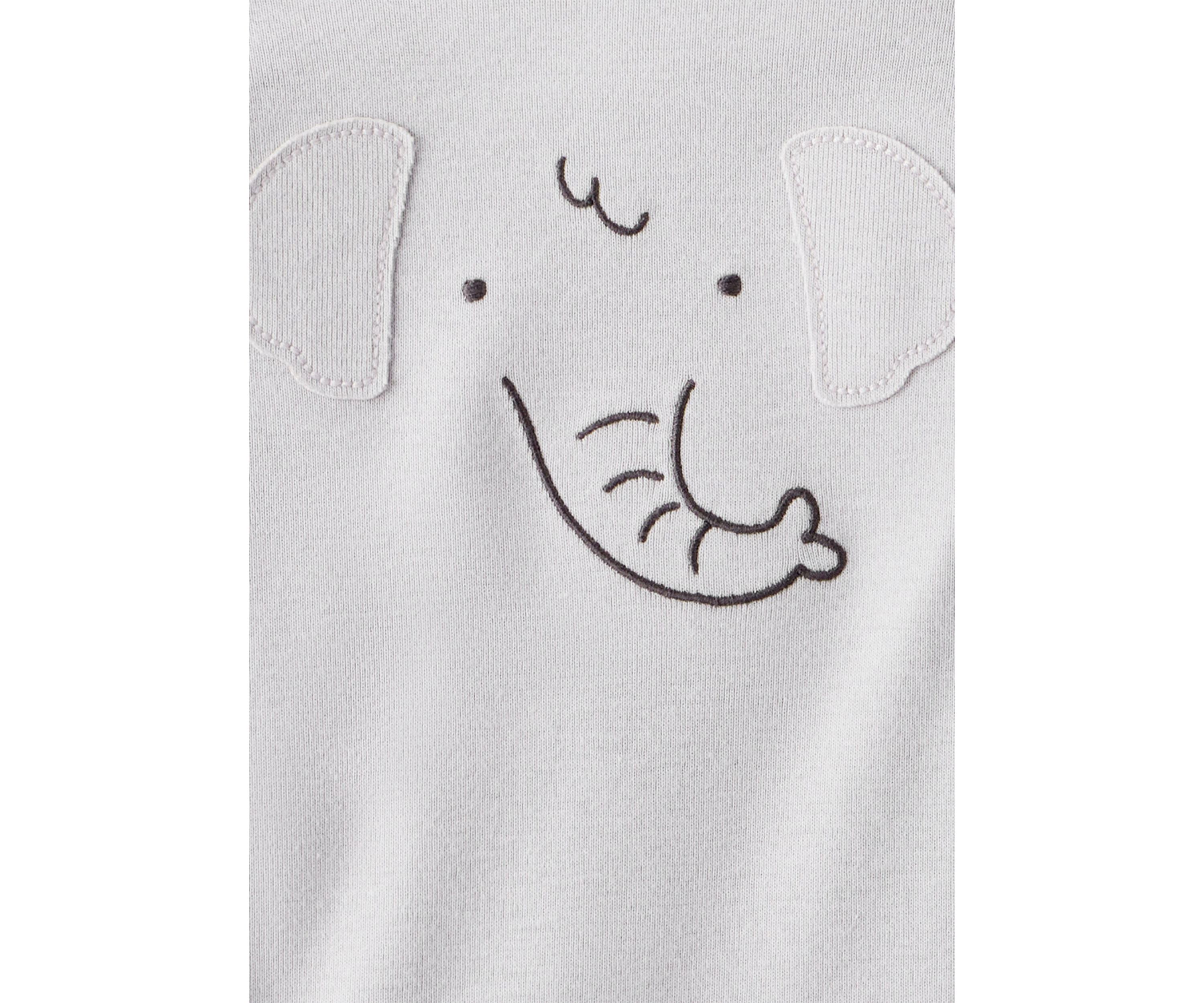 Baby Boys Long Sleeve Bodysuit Set